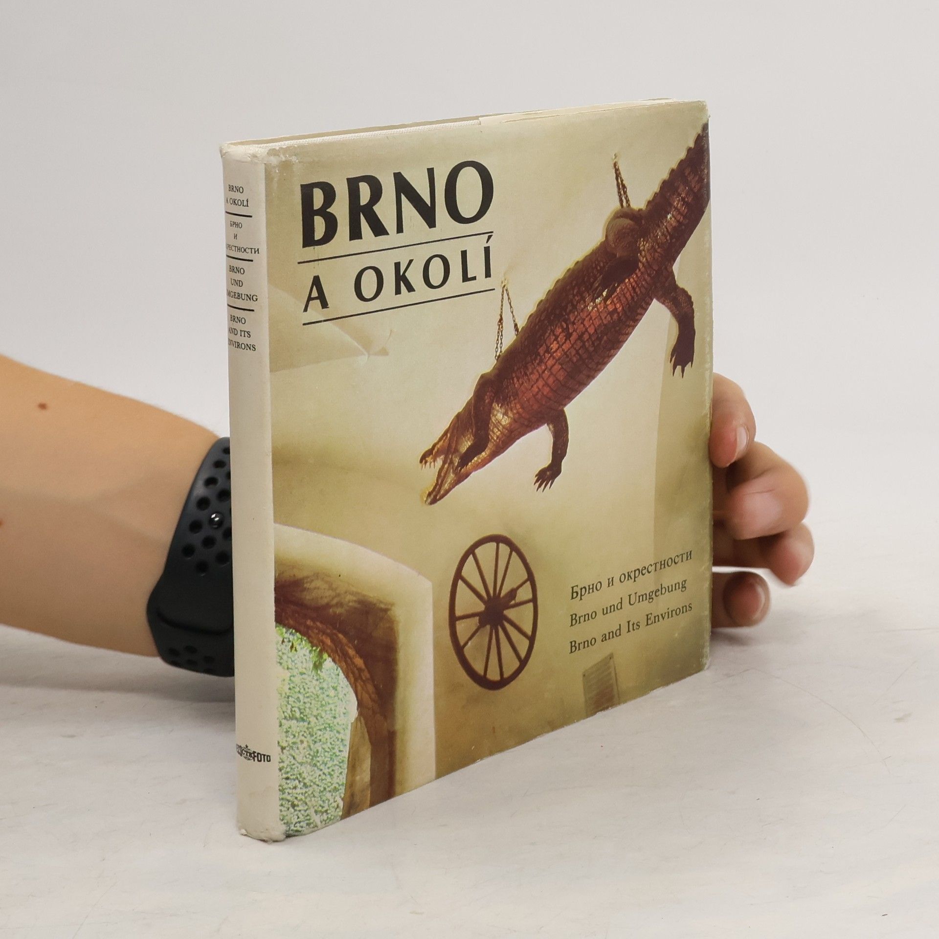 Dalibor Kusák Brno a okolí