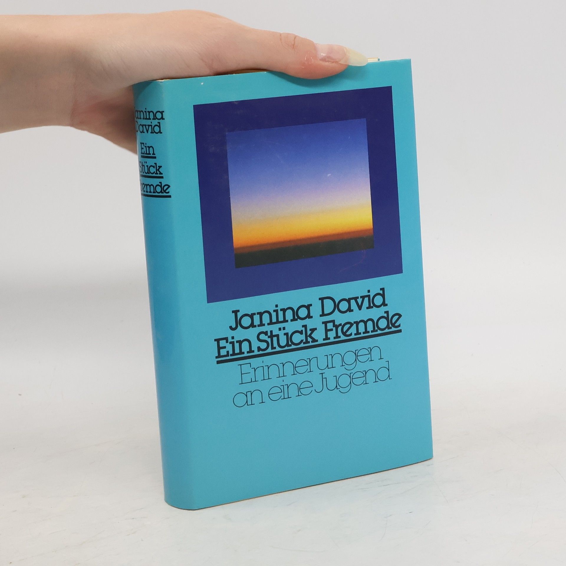 Ein Stück Fremde. Erinnerungen an eine Jugend