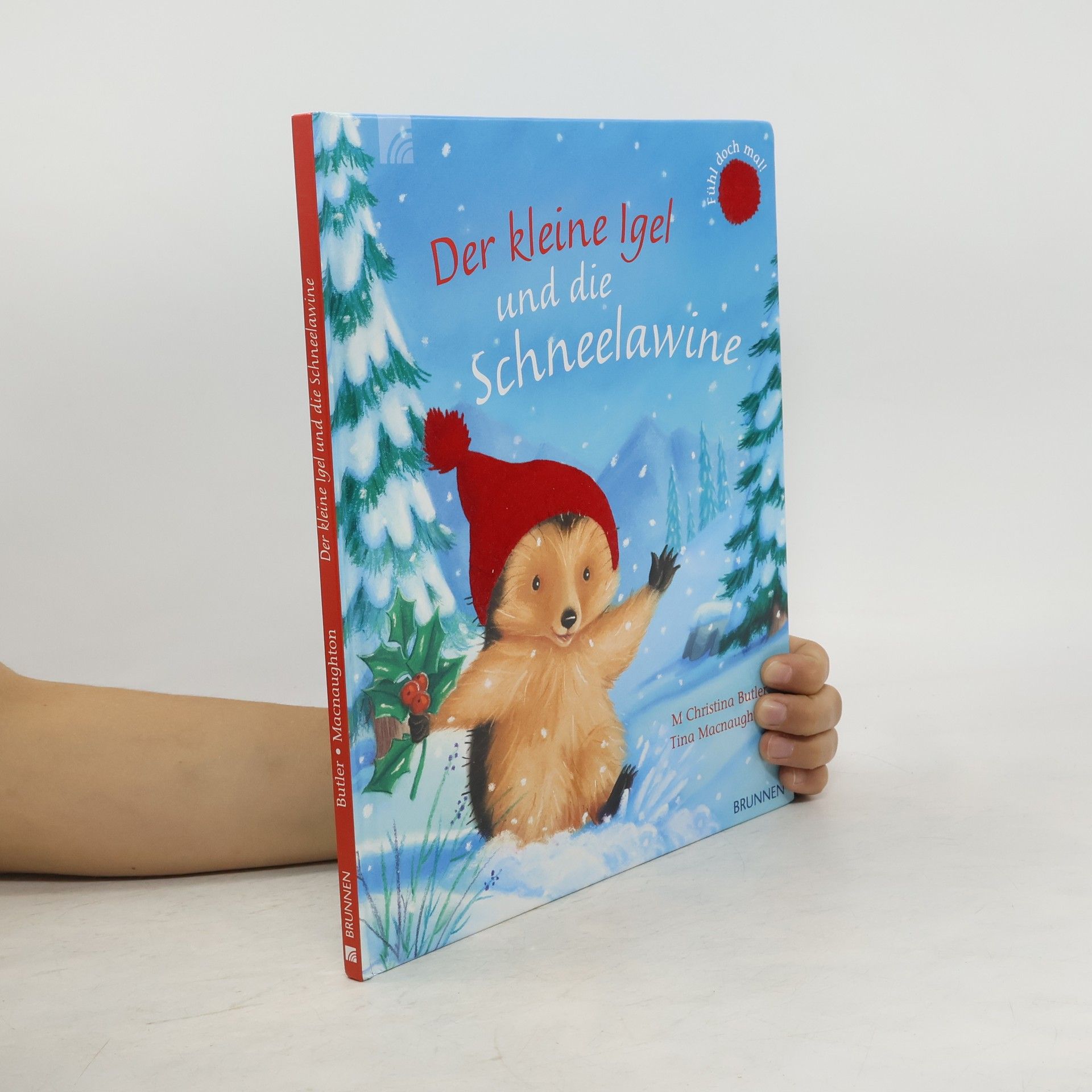 Christina M. Butler Der kleine Igel und die Schneelawine