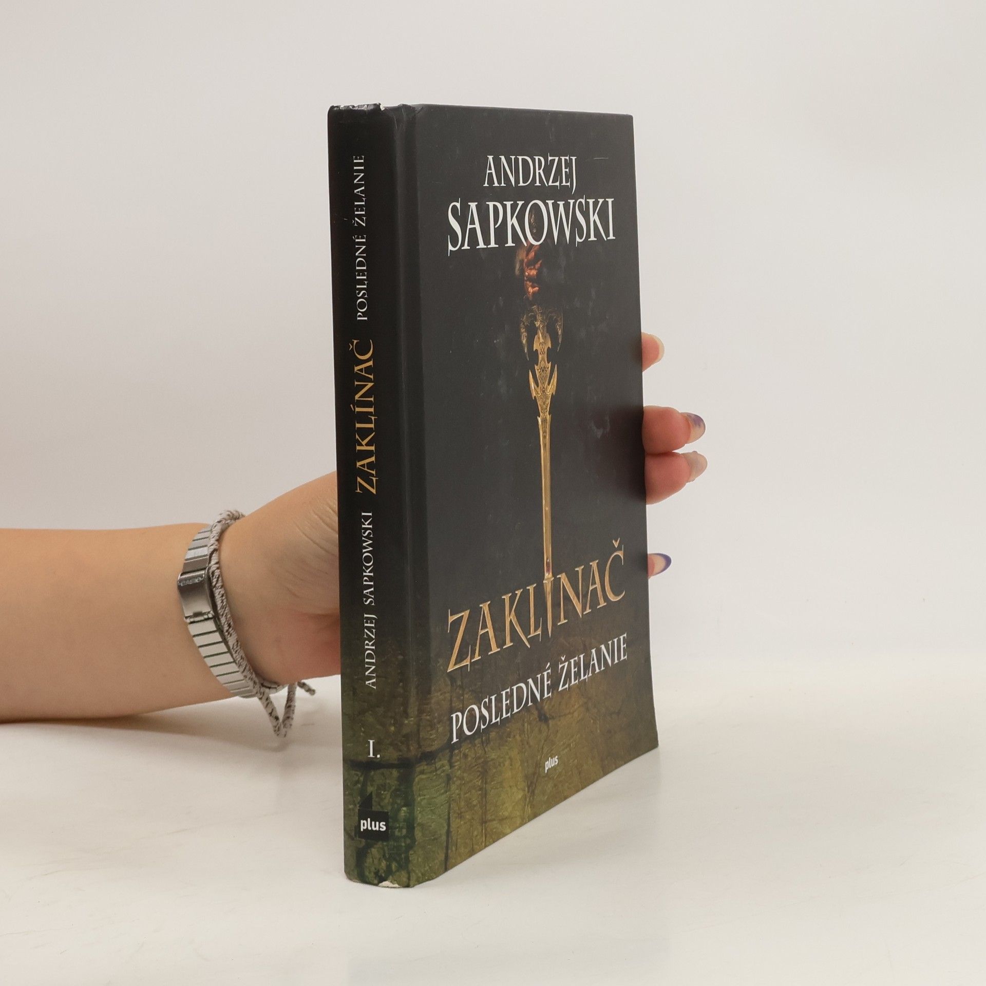 Andrzej Sapkowski Zaklínač. Posledné želanie