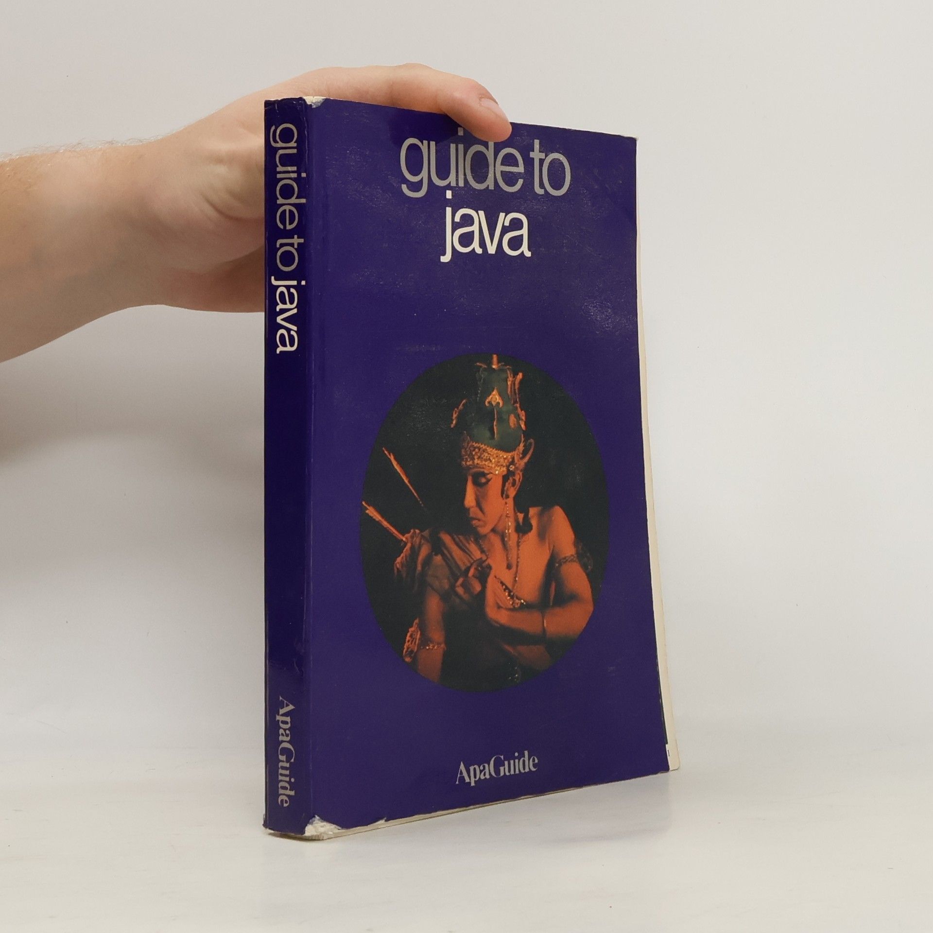 Kolektiv autorů Guide to Java