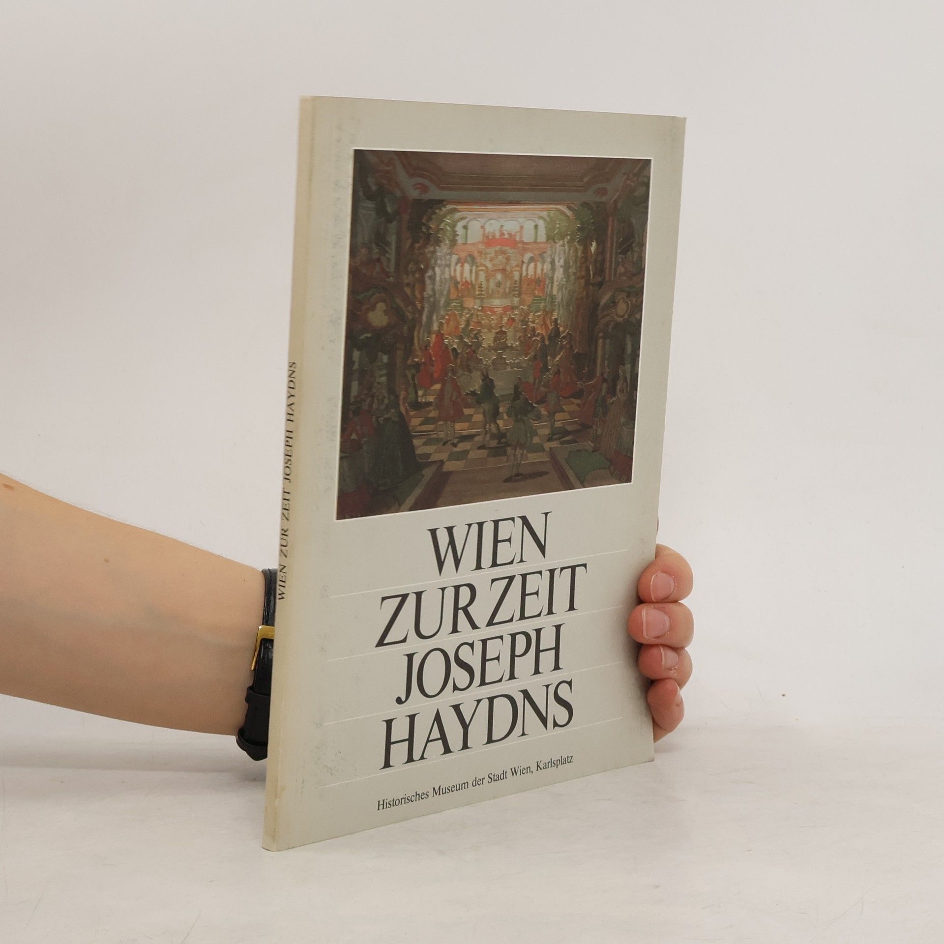 Kolektív autorov Wien Zurzeit Joseph Haydns