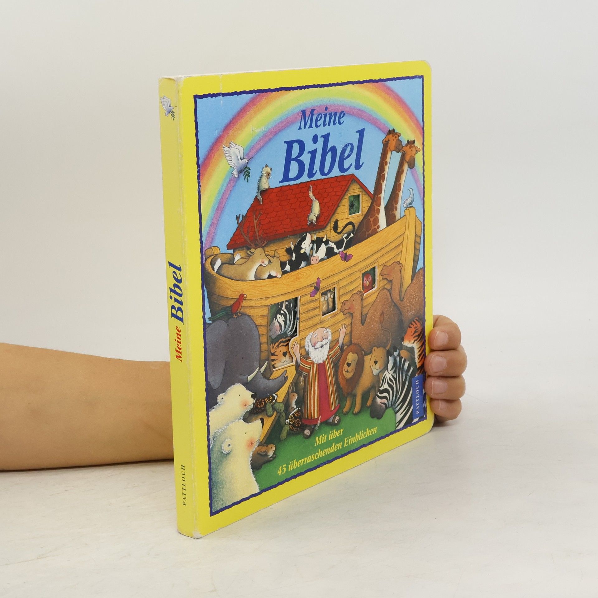 Tracey Moroney Meine Bibel