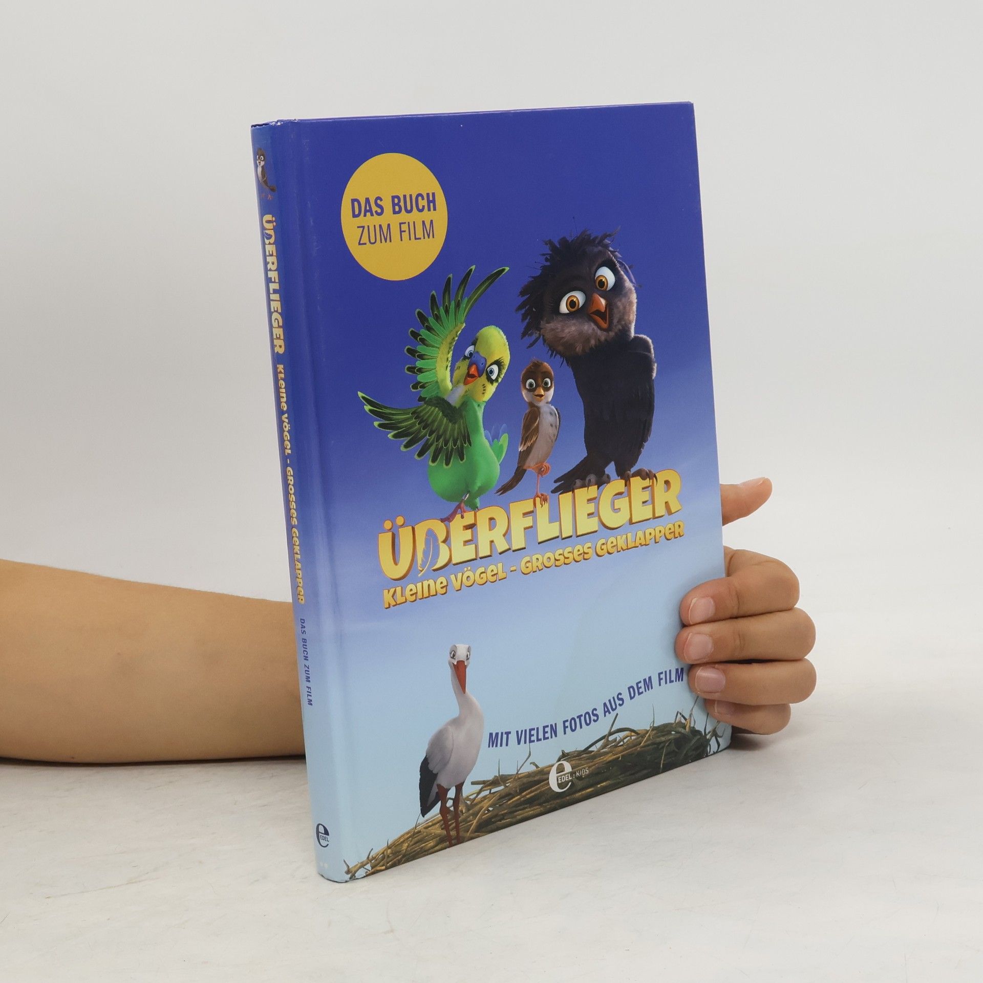 Anna Taube Überflieger - kleine Vögel, großes Geklapper