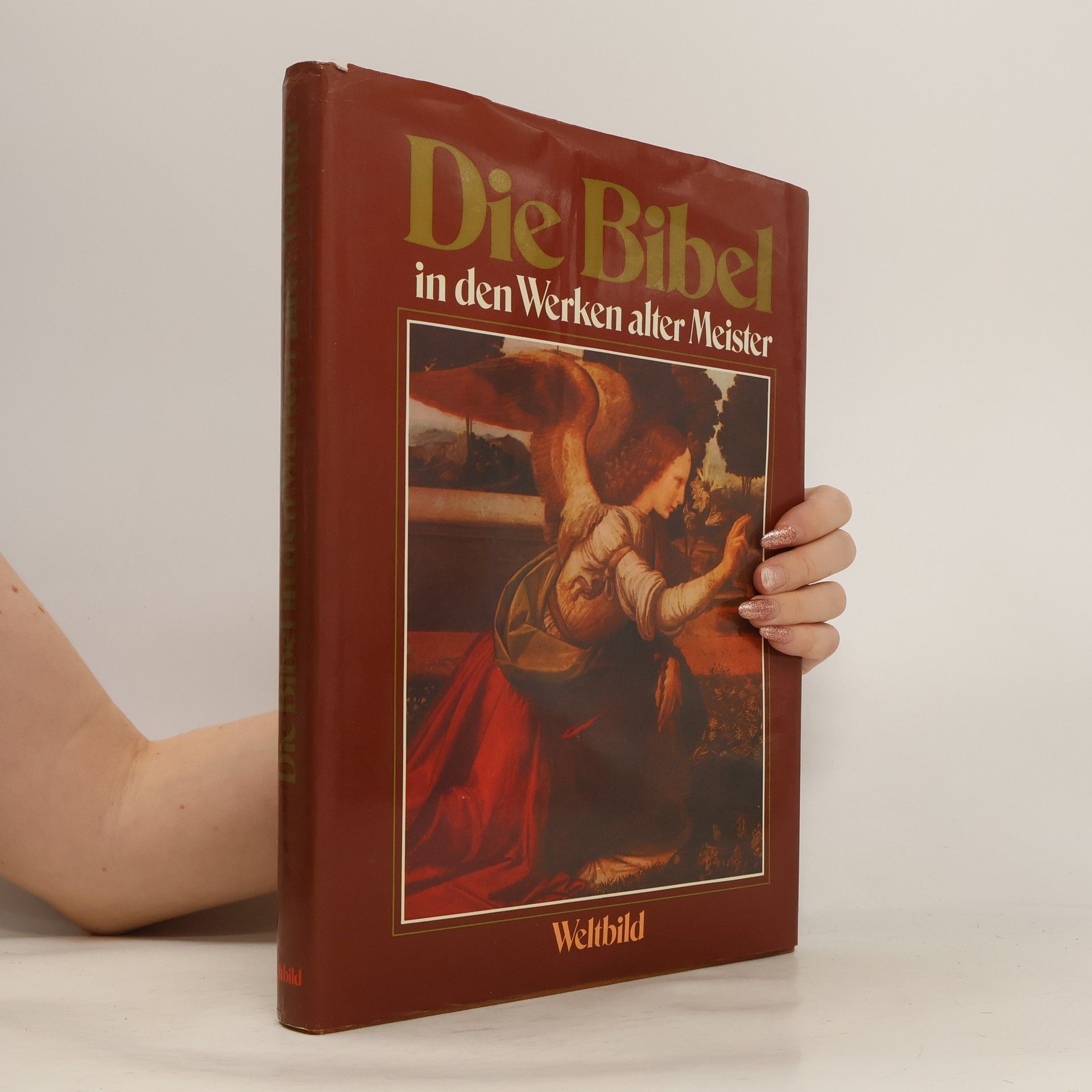 Auteurscollectief Die Bibel in den Werken alter Meister