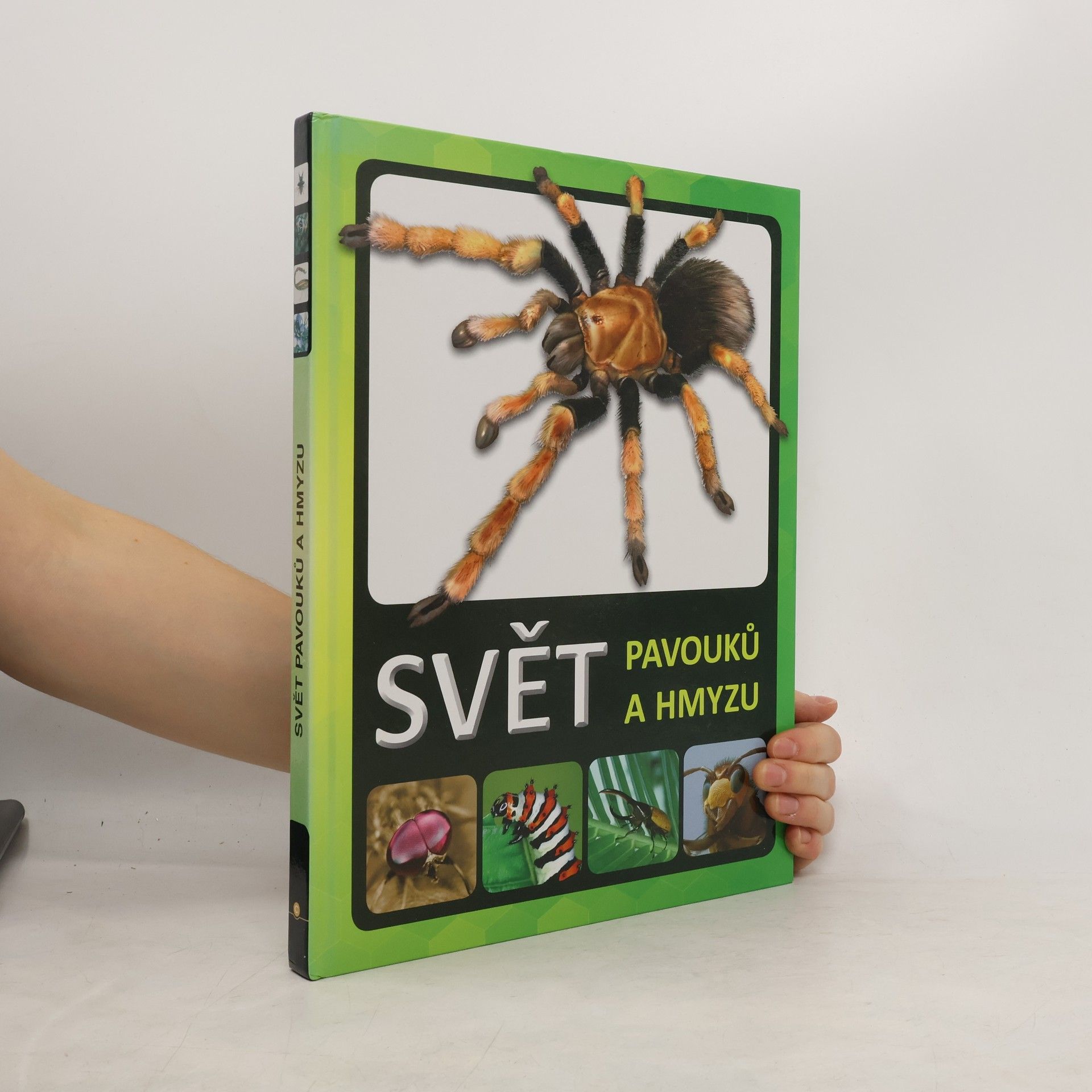 Lenka Jagošová Svět pavouků a hmyzu