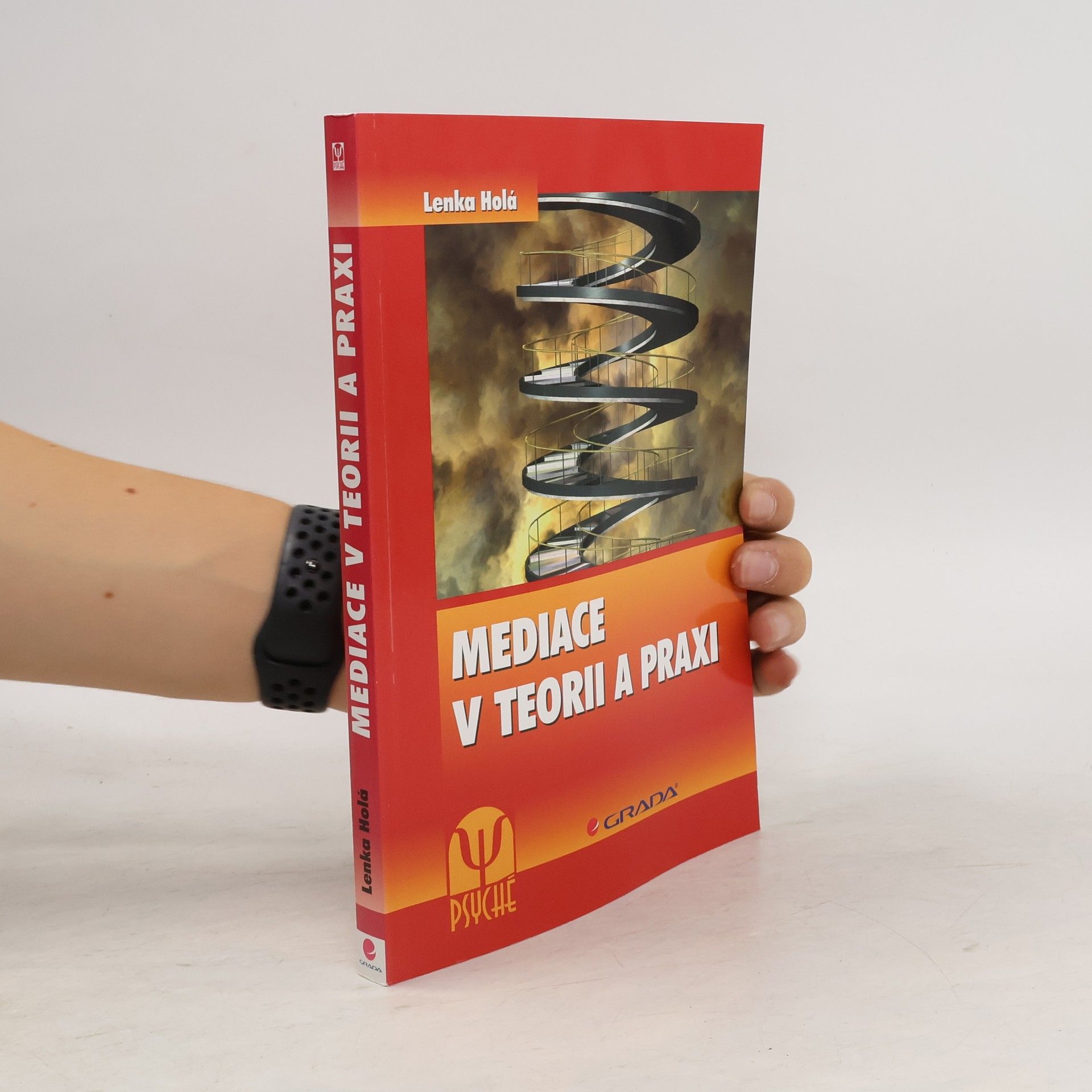 Mediace v teorii a praxi