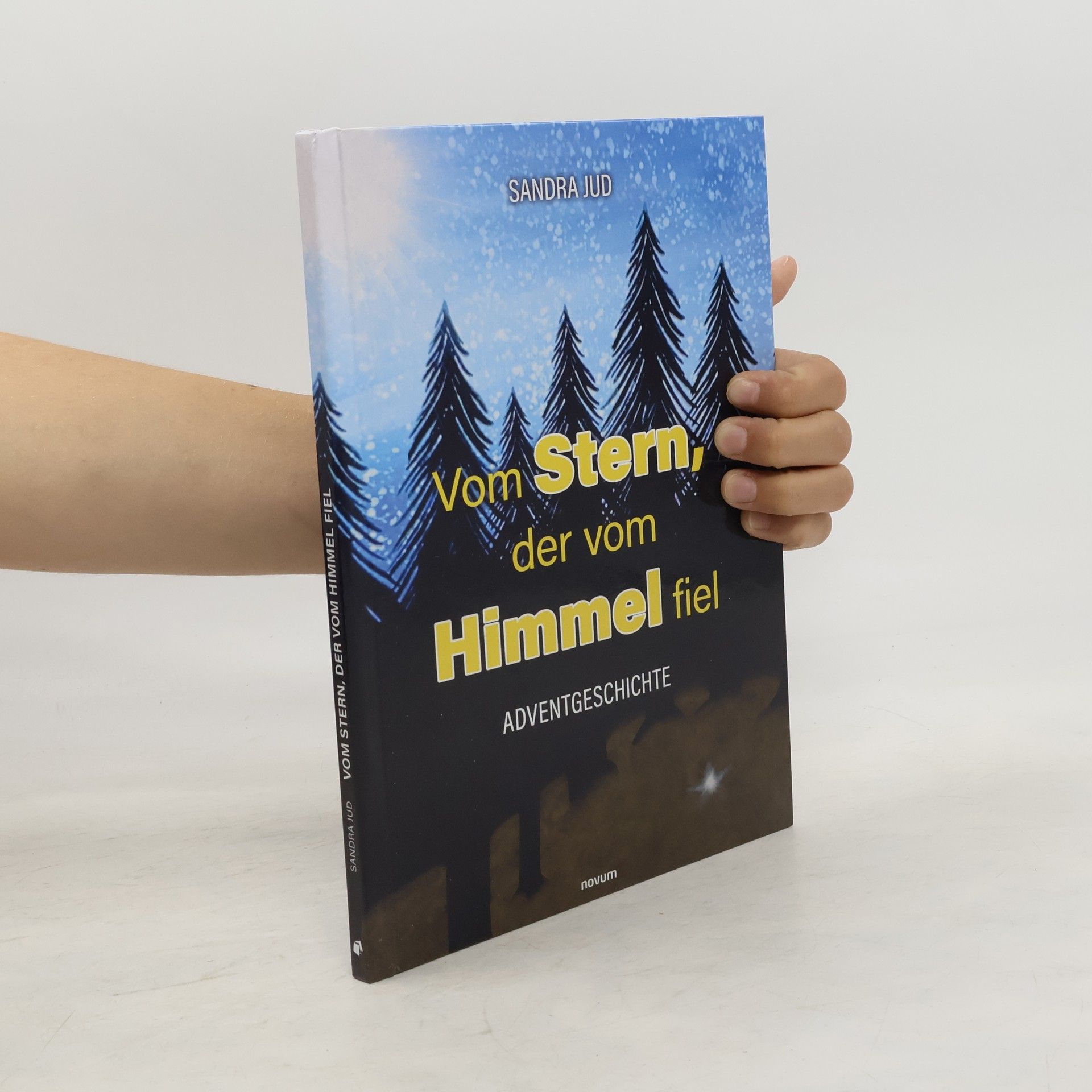 Sandra Jud Vom Stern, der vom Himmel fiel