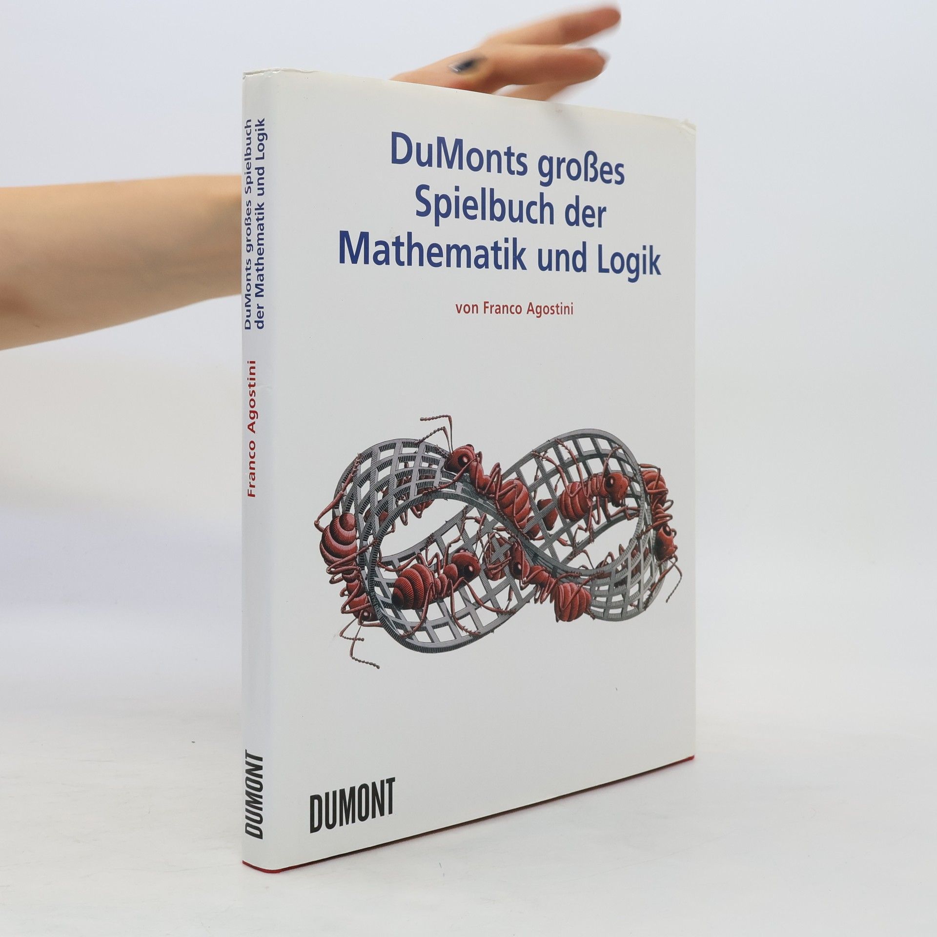 Franco Agostini DuMonts großes Spielbuch der Mathematik und Logik