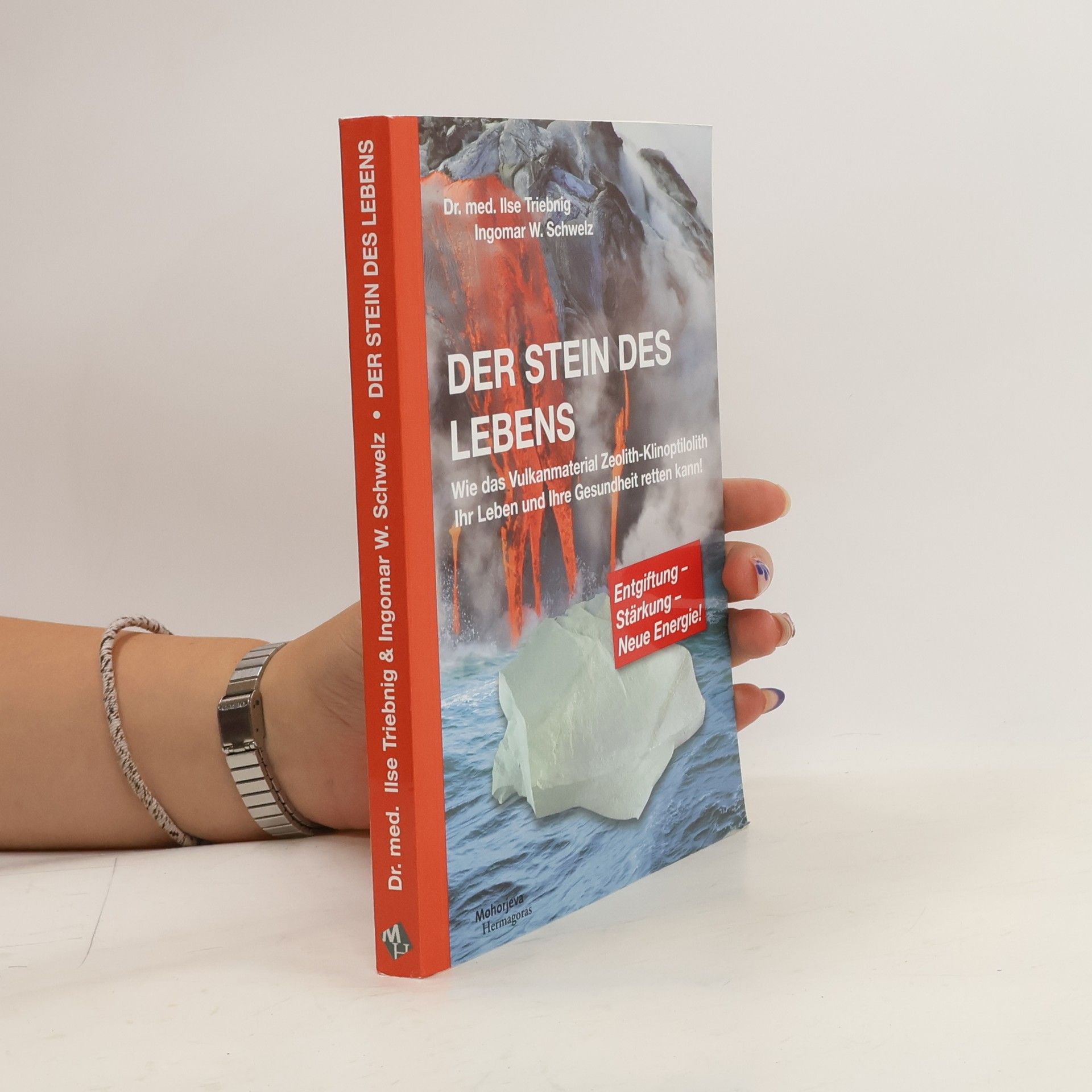 Ilse Triebnig Der Stein des Lebens