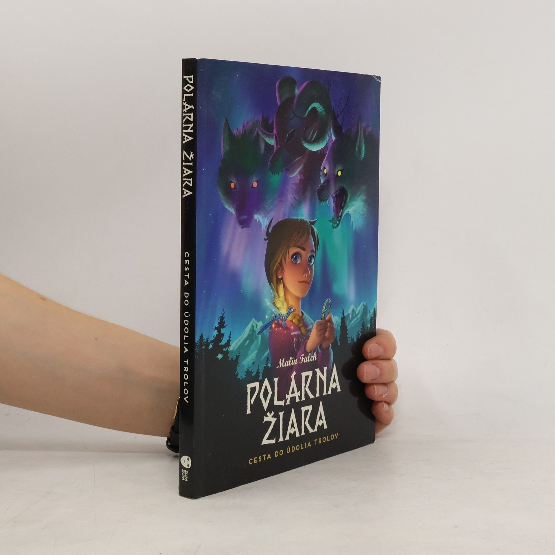 Malin Falch Polárna žiara. Cesta do údolia trolov
