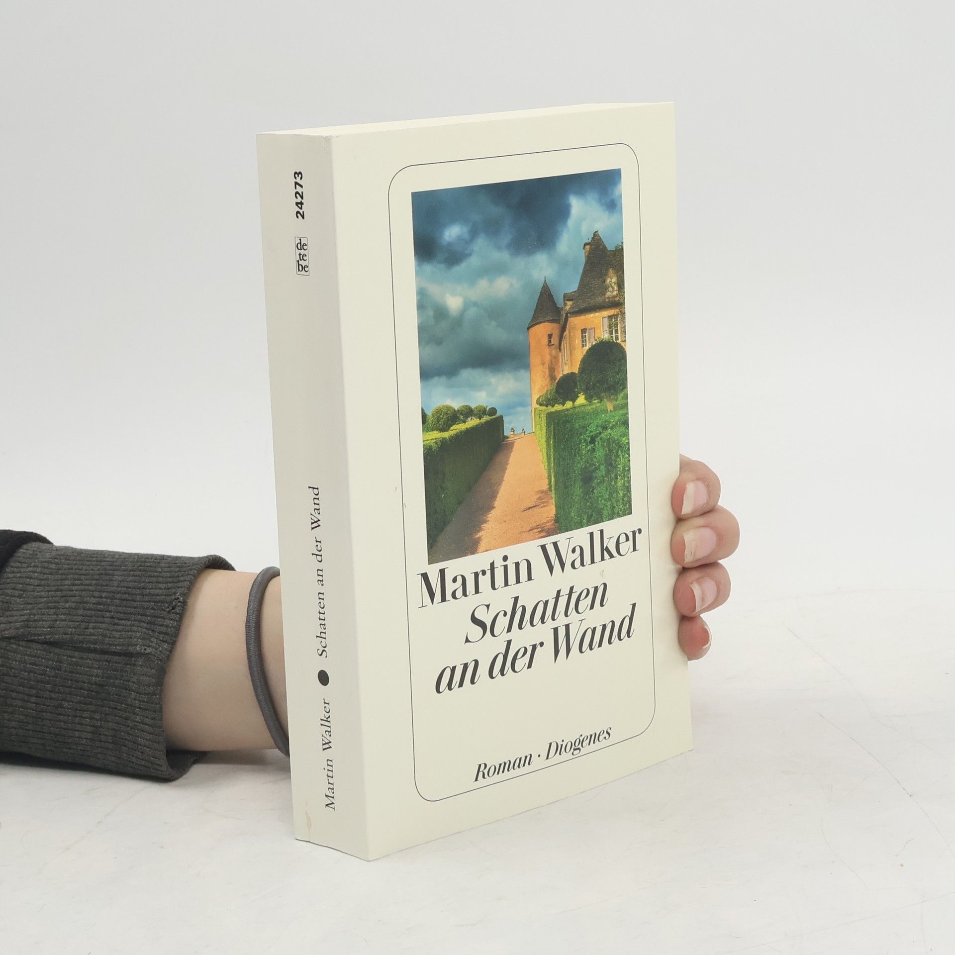 Martin Walker Schatten an der Wand