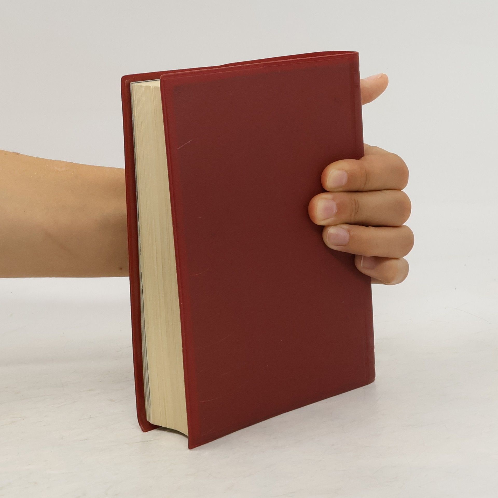 Kolektiv autorů SGP Handbuch