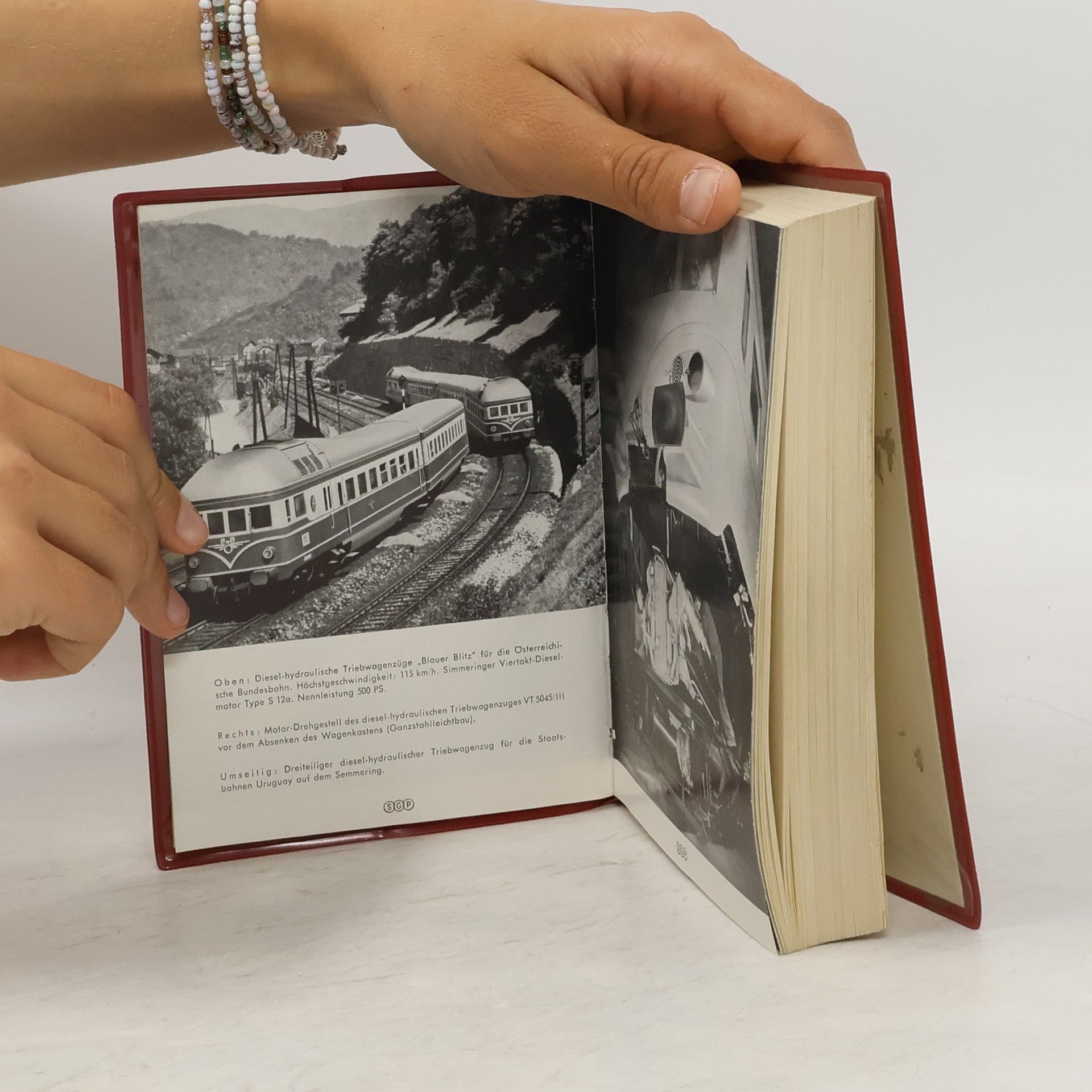 Kolektiv autorů SGP Handbuch