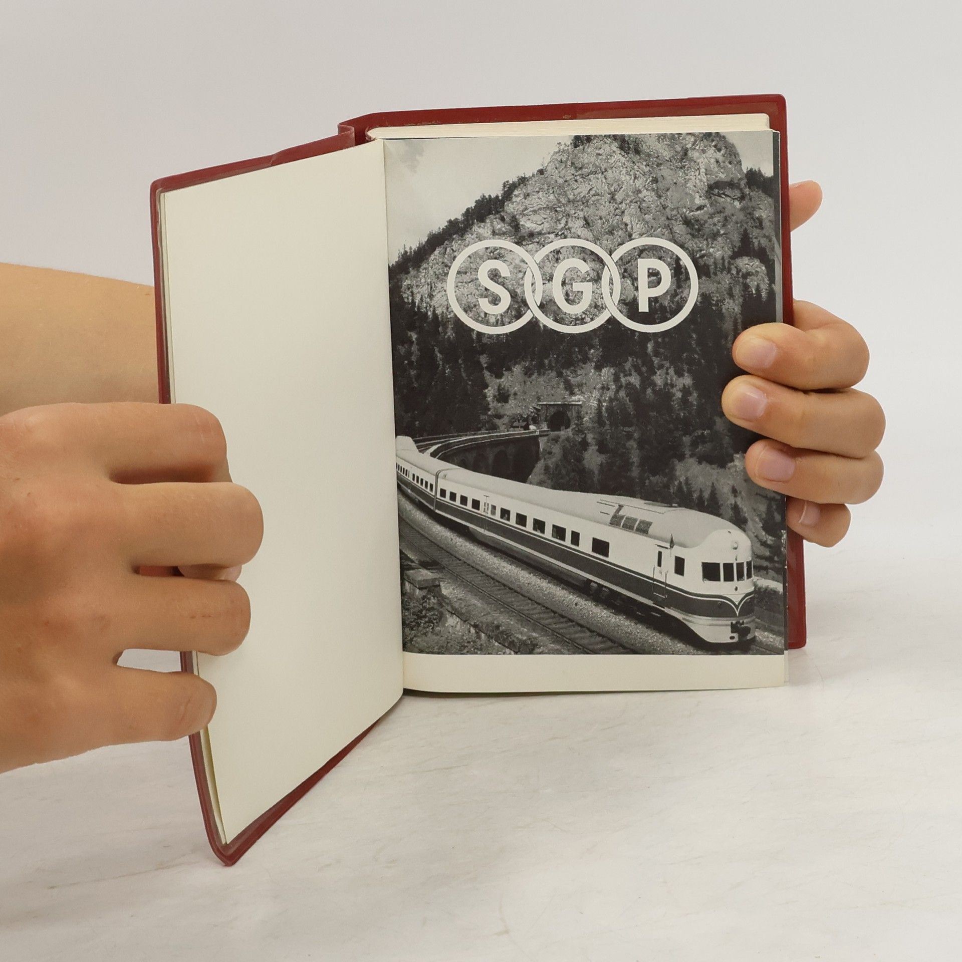 Kolektiv autorů SGP Handbuch