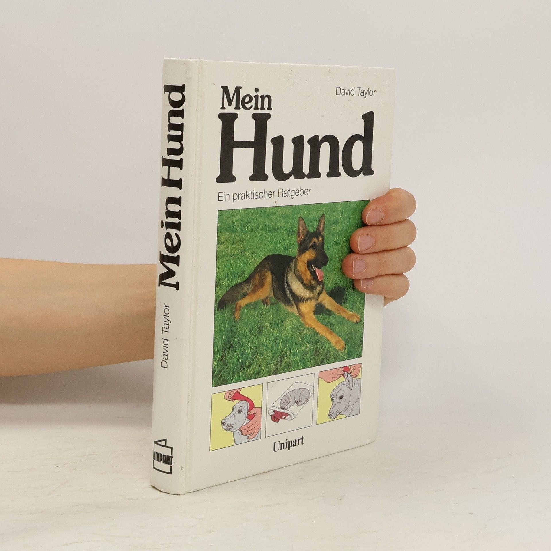 kolektiv Mein Hund