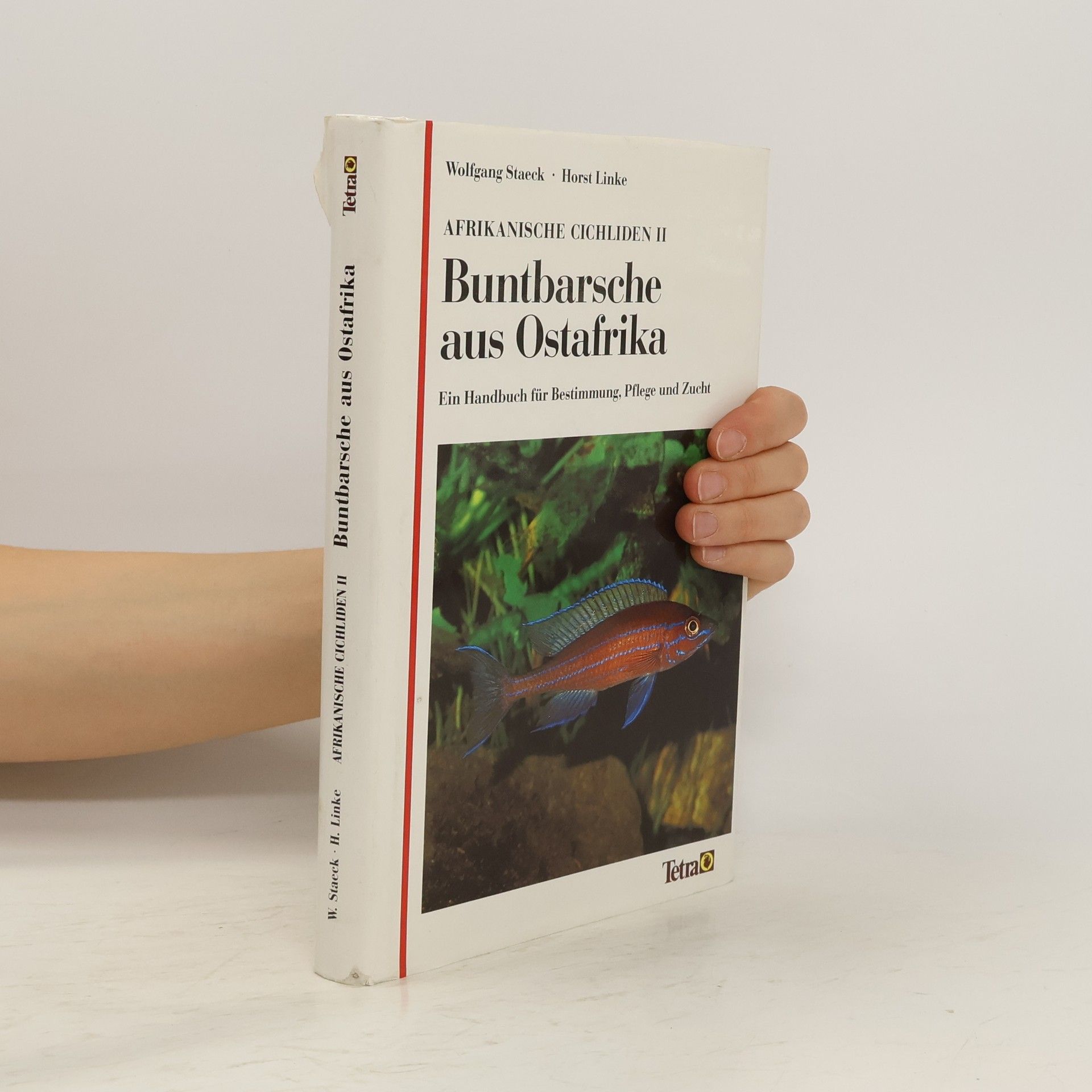 Autorenkollektiv Afrikanische Cichliden