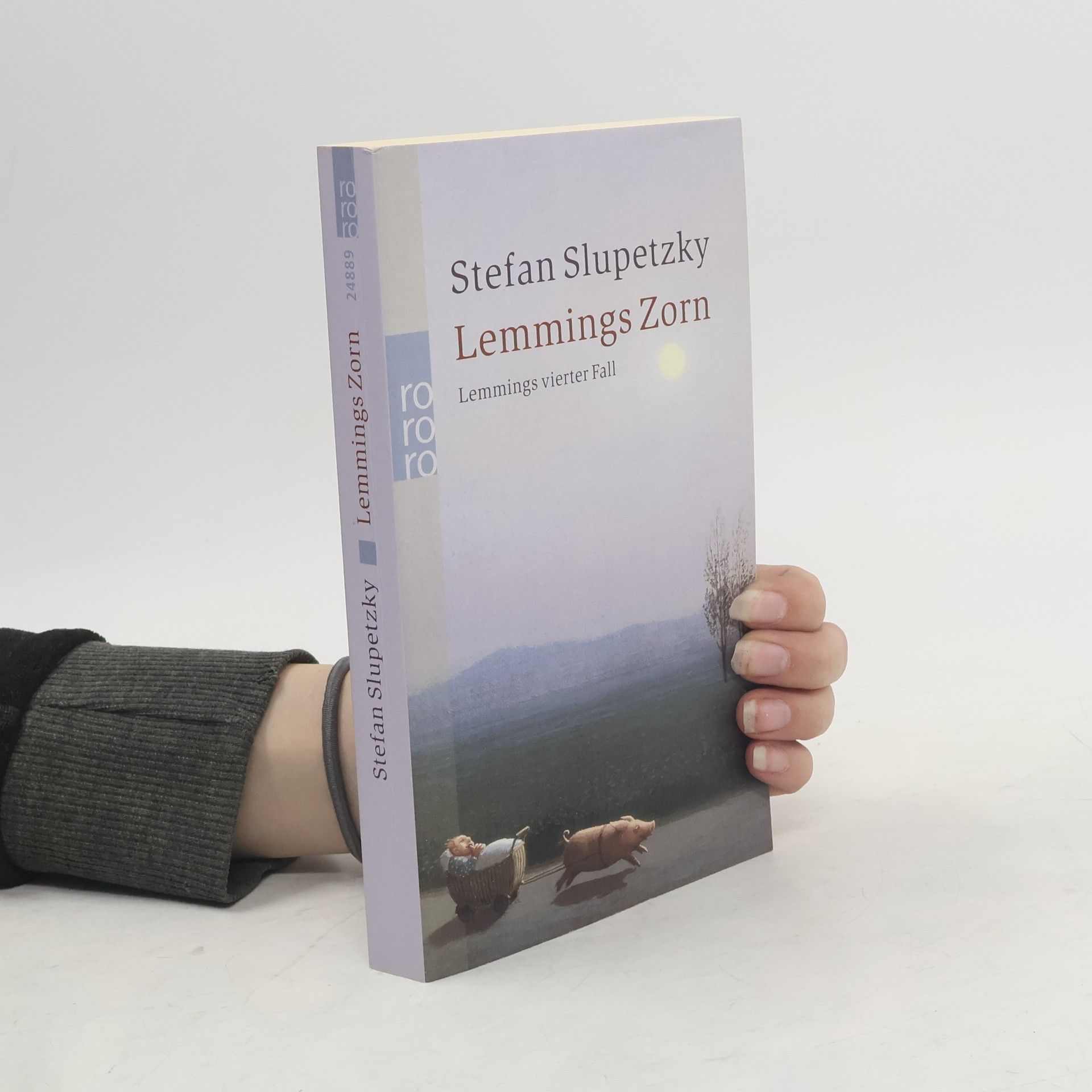 Stefan Slupetzky Lemmings Zorn