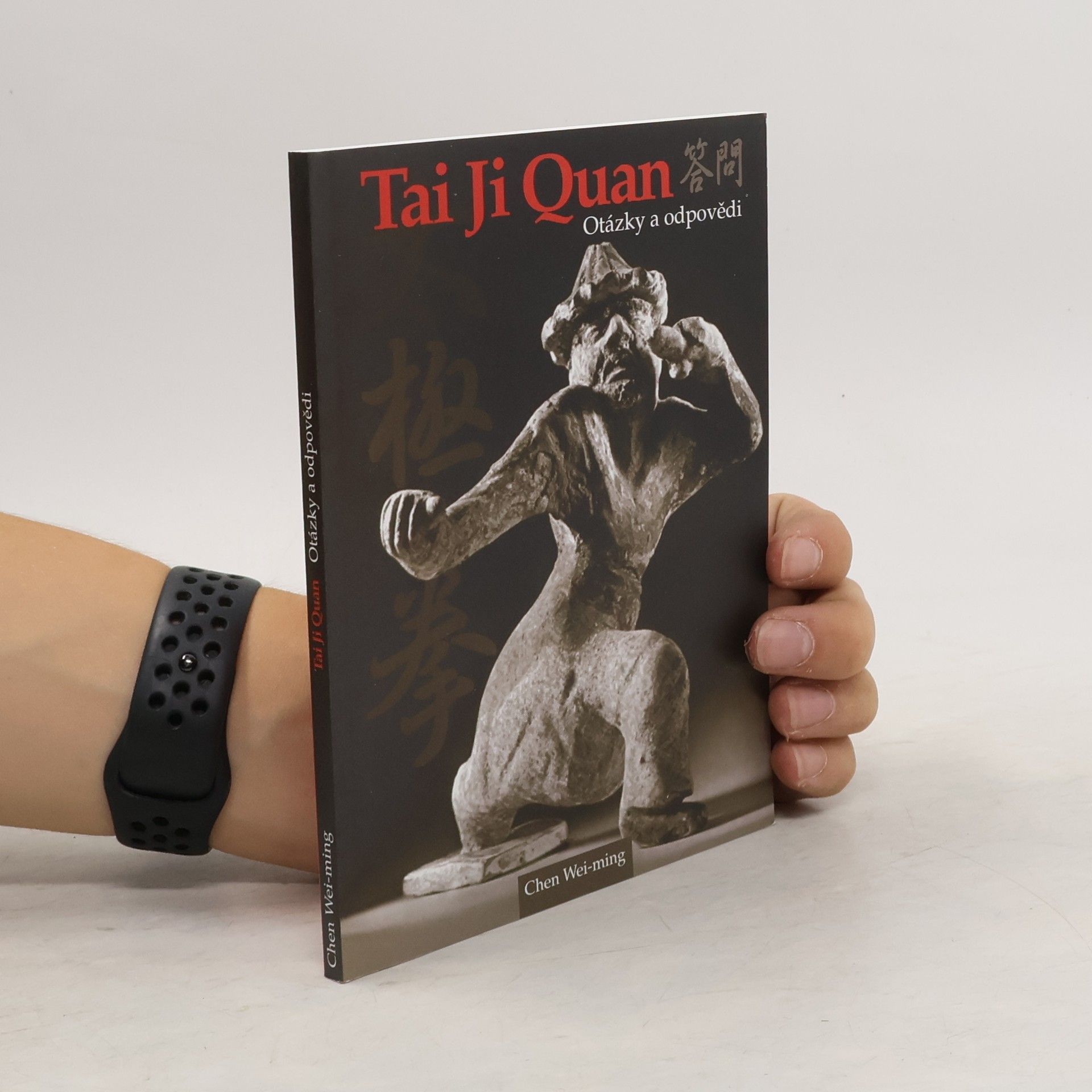 Wei ming Chen Tai Ji Quan. Otázky a odpovědi