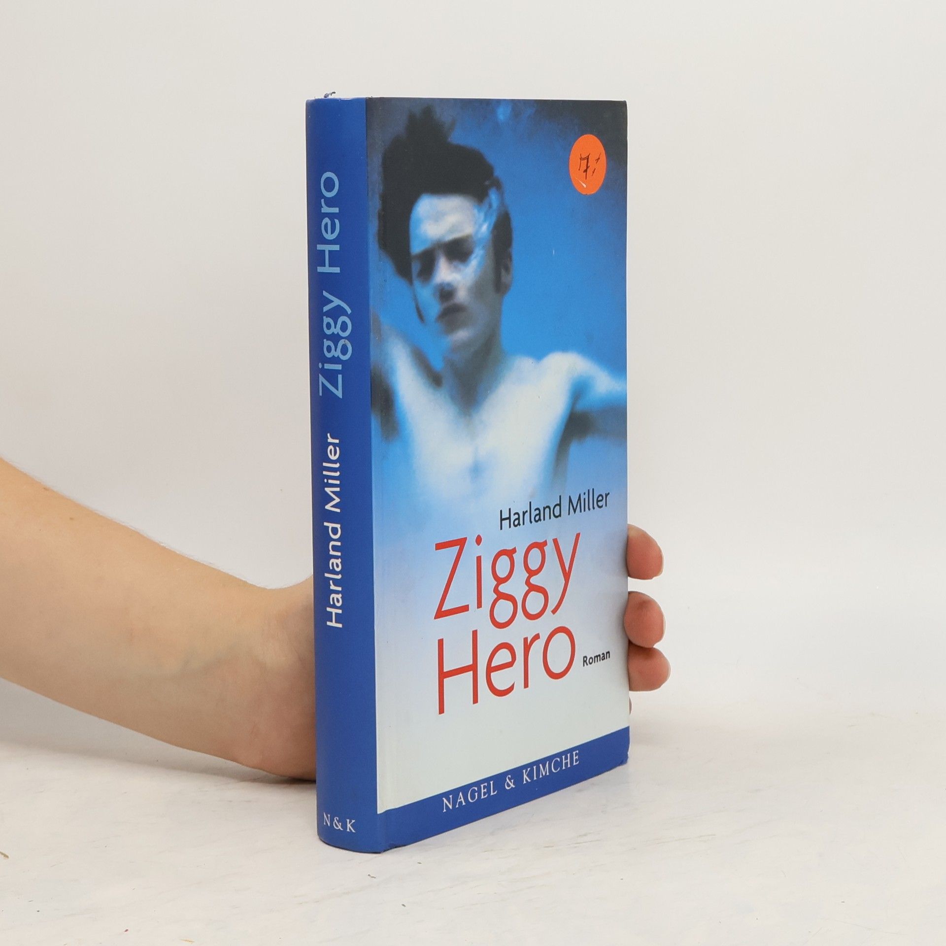 Harland Miller Ziggy Hero
