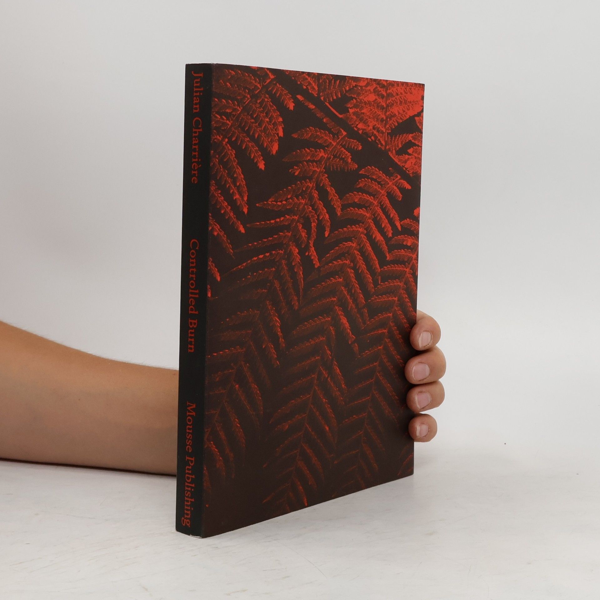 MOUSSE PUB Julian Charrière: Controlled Burn