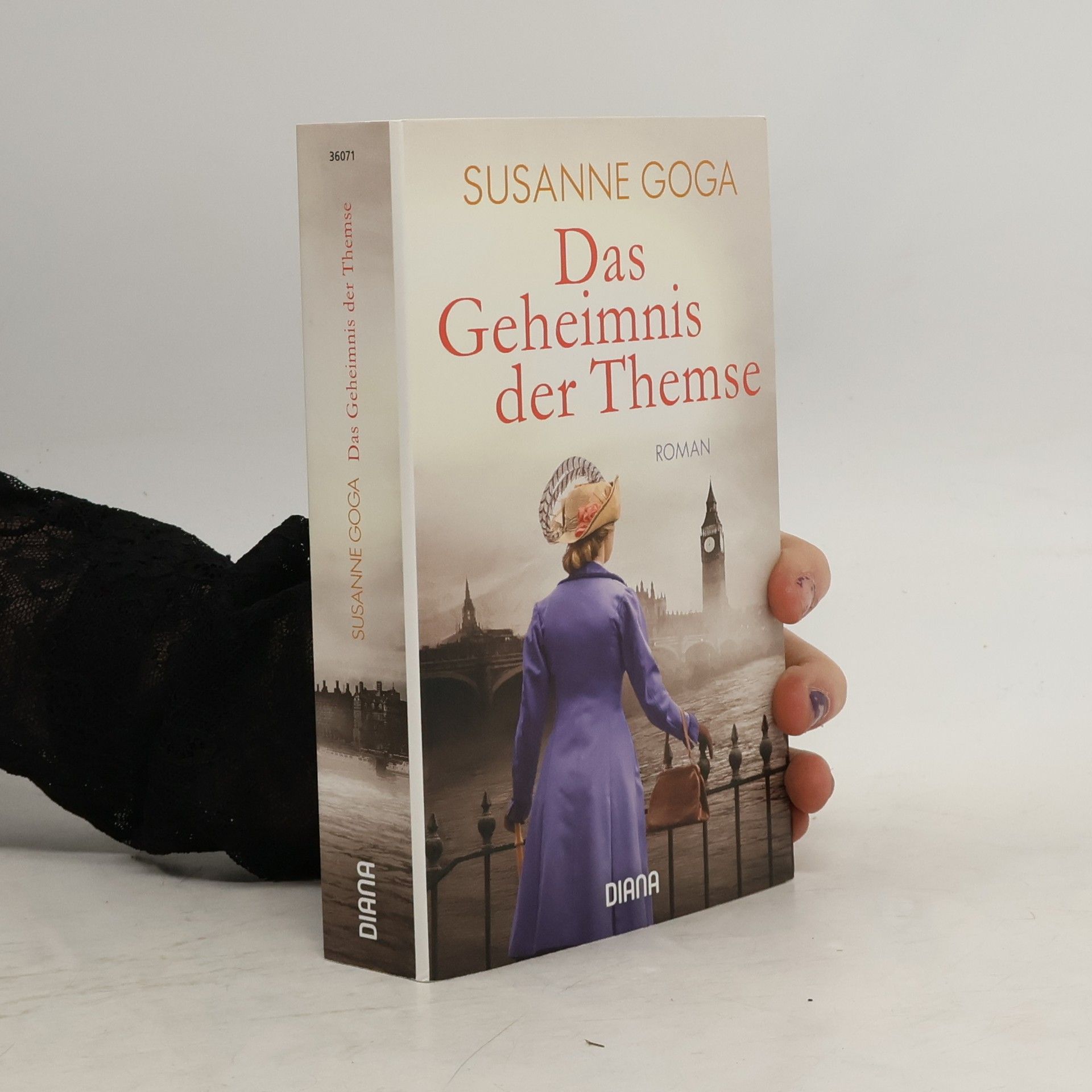 Susanne Goga Das Geheimnis der Themse