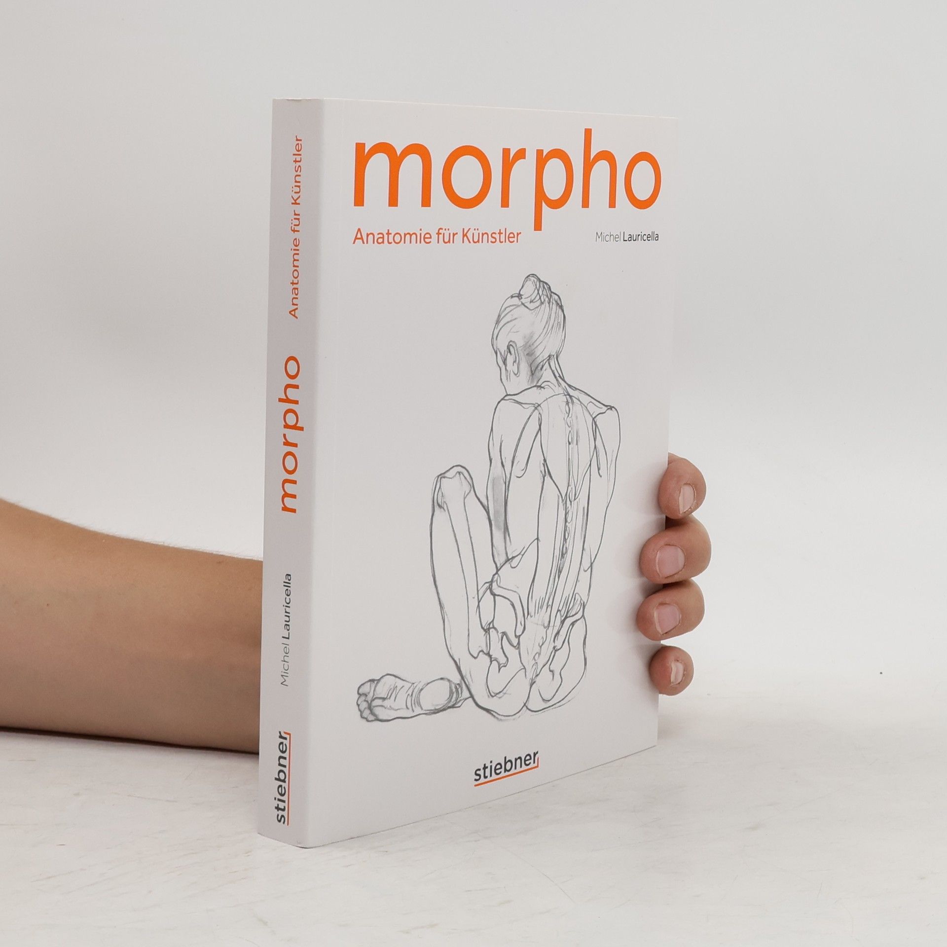 Michel Lauricella Morpho 1