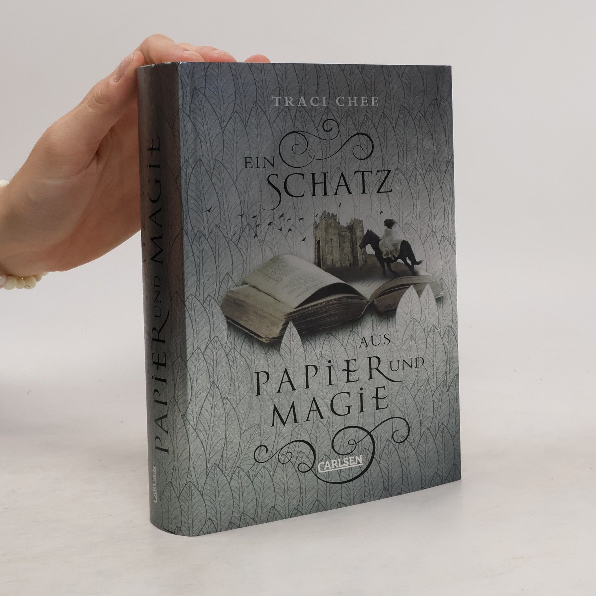 Traci Chee Ein Schatz aus Papier und Magie