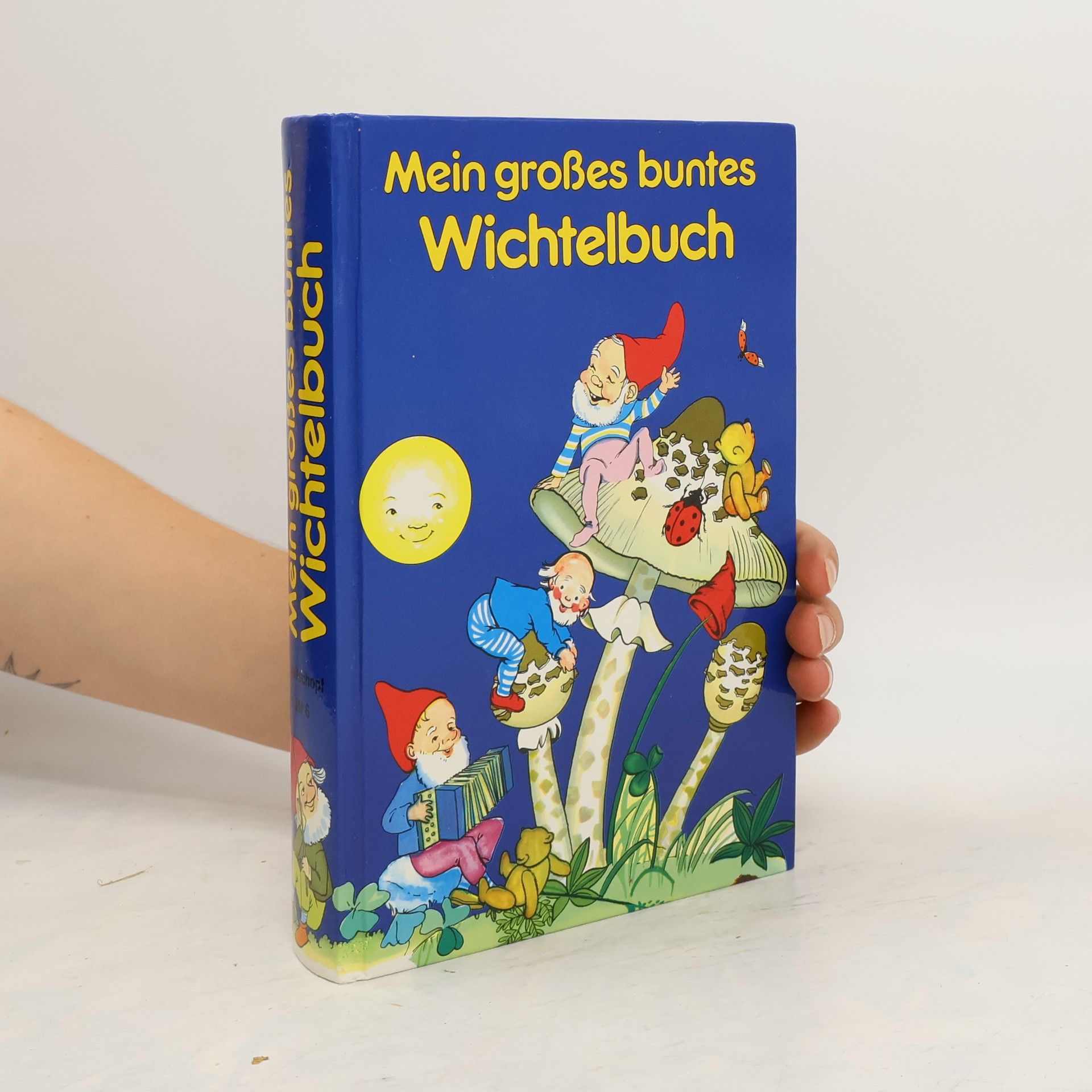 Autorenkollektiv Mein großes buntes Wichtelbuch