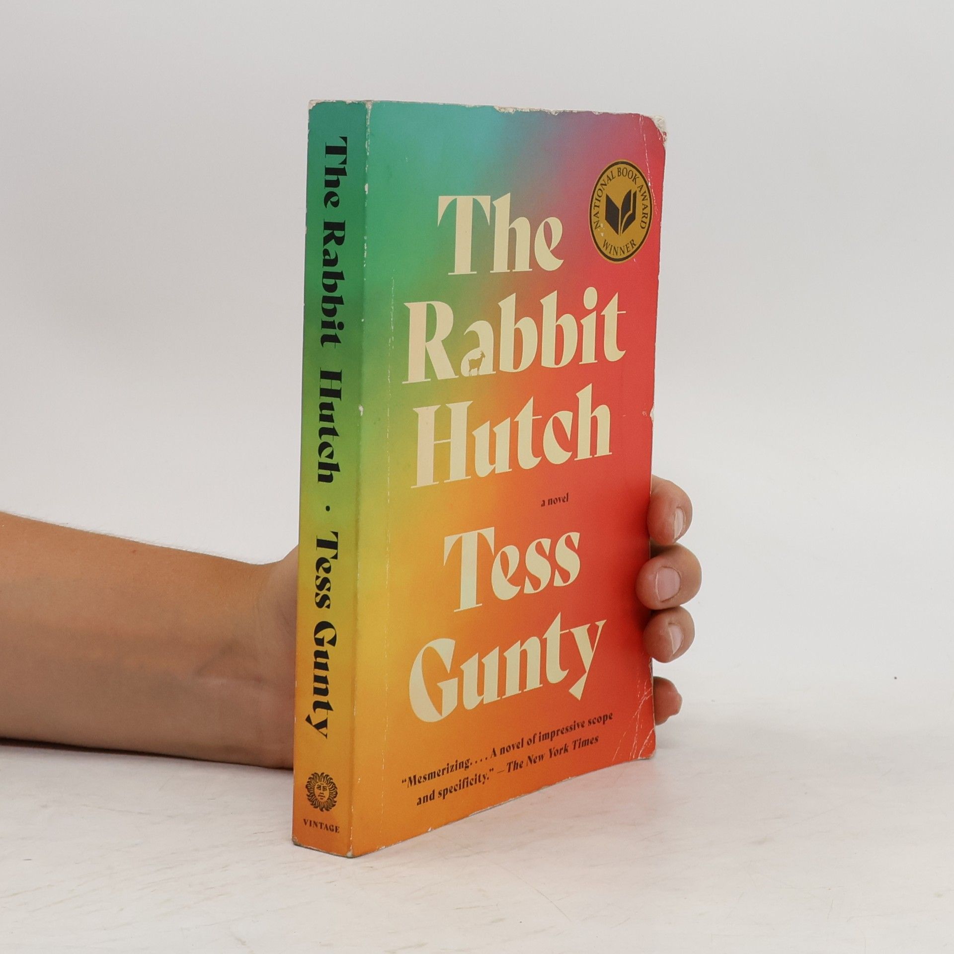Tess Gunty The Rabbit Hutch