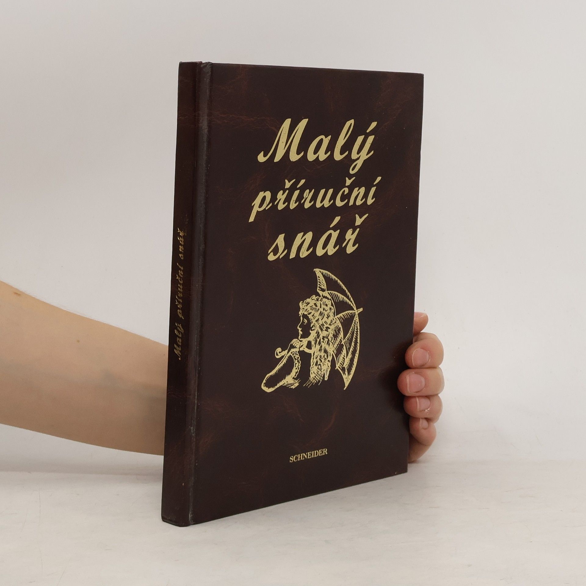 Petr Schneider Malý příruční snář