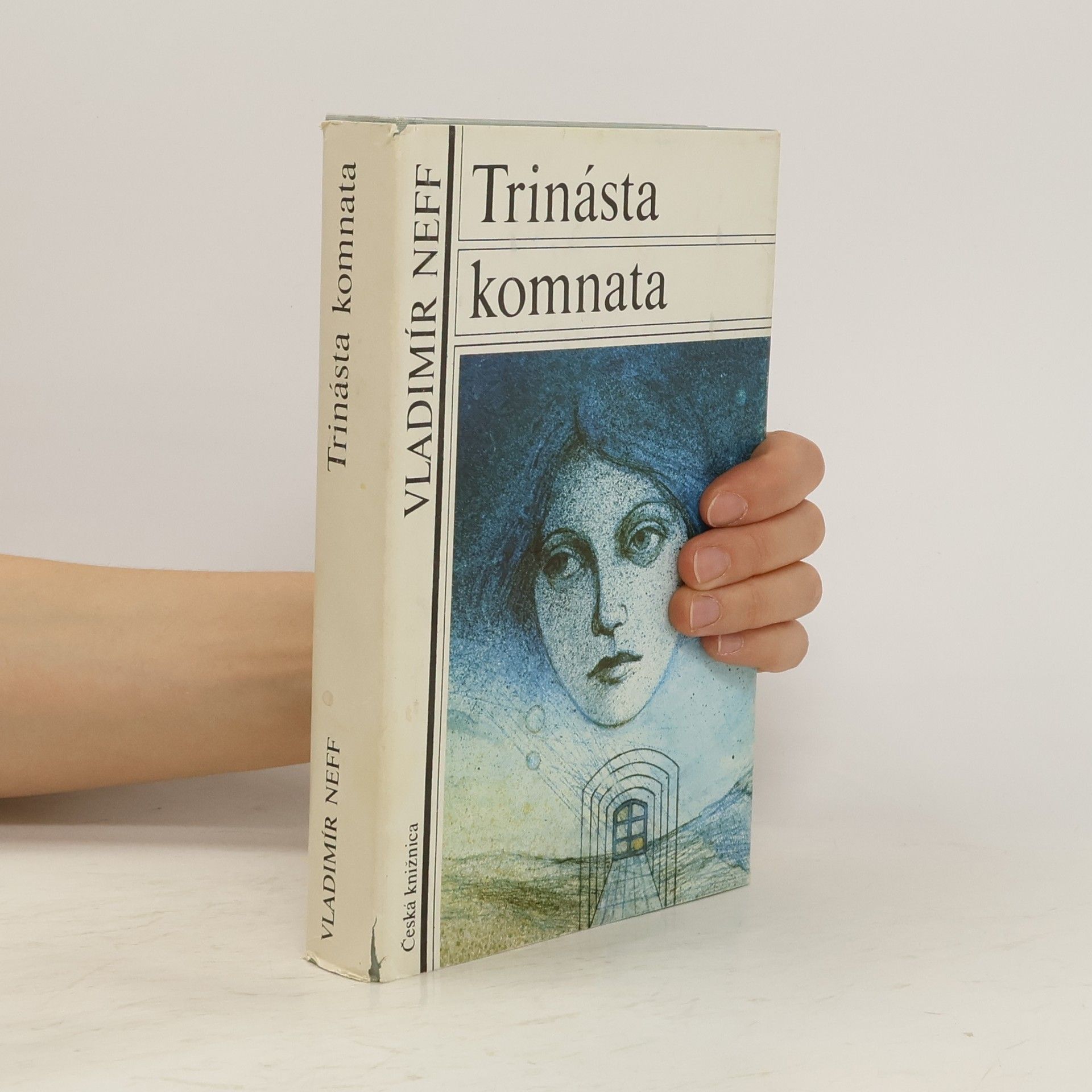 Vladimír Neff Trinásta komnata
