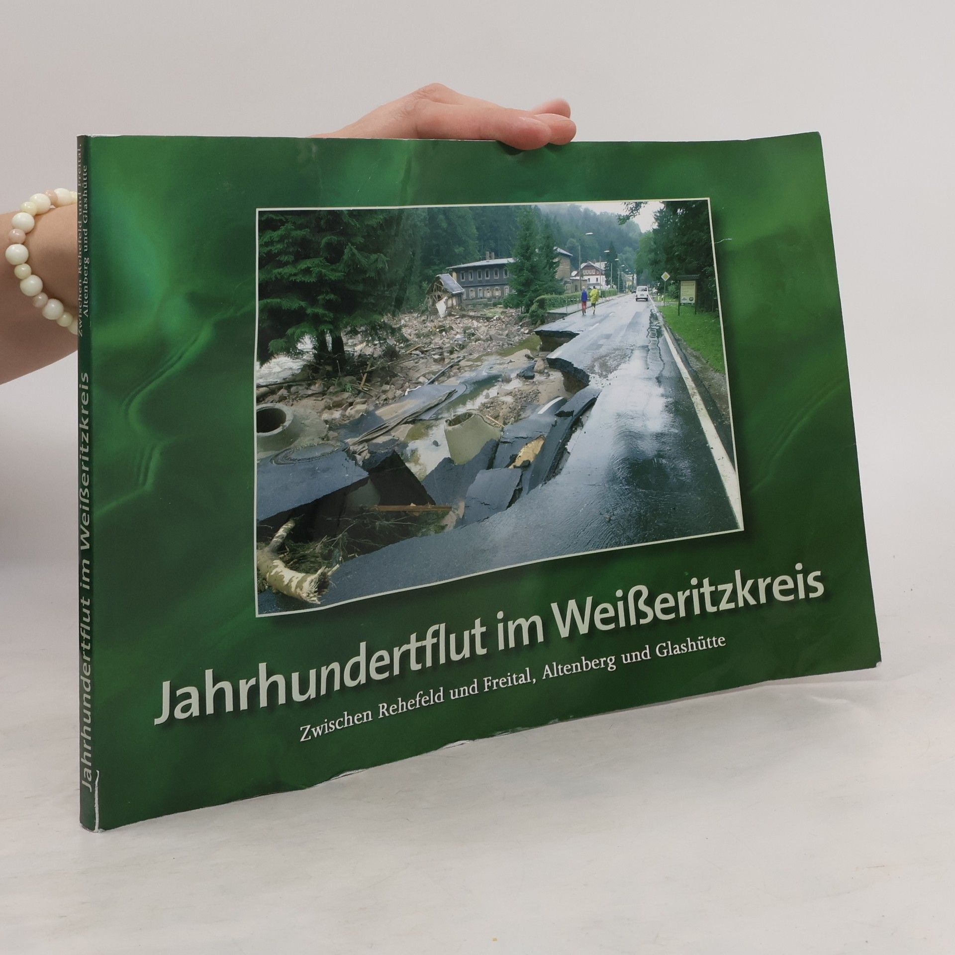 AA.VV. Jahrhundertflut im Weißeritzkreis