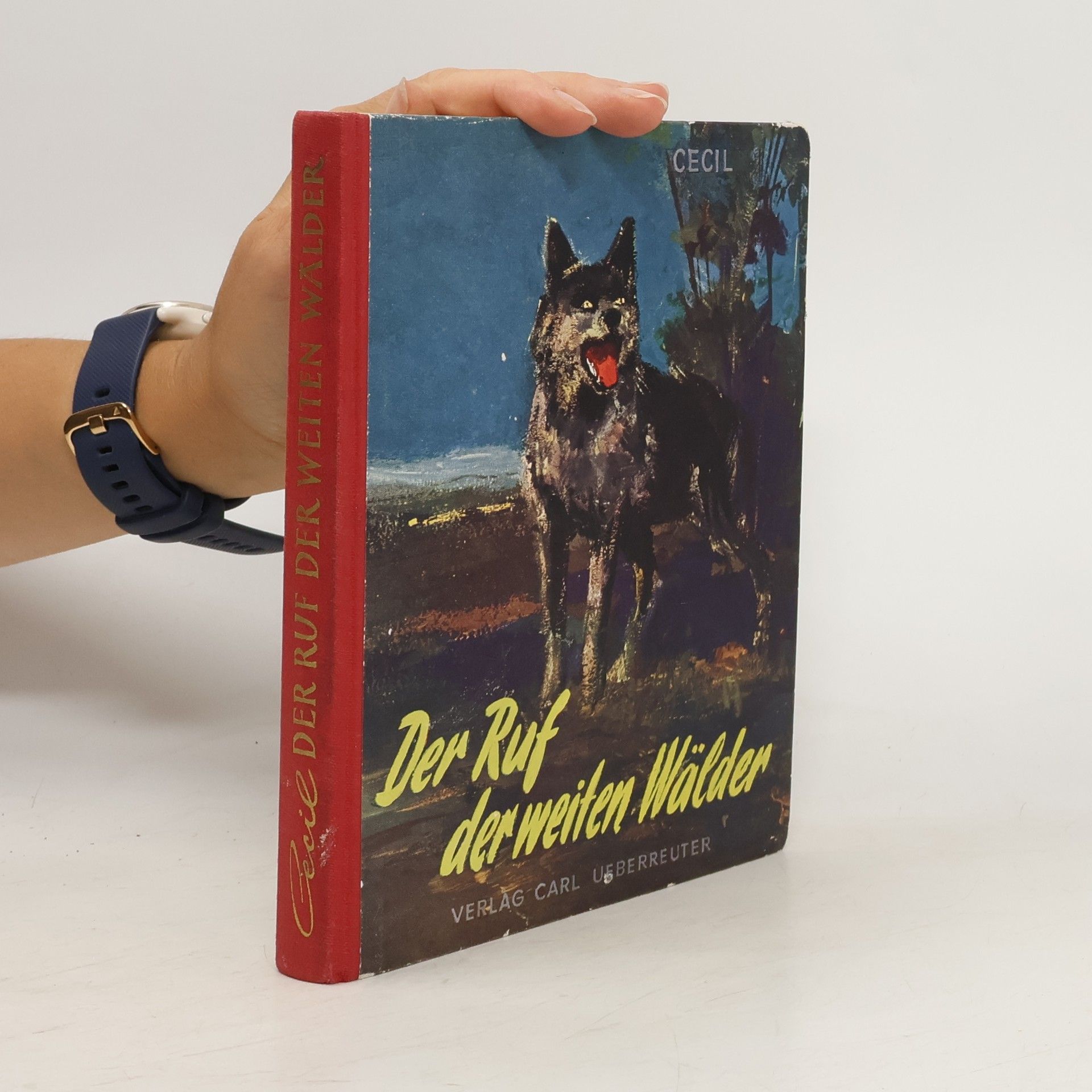 Patricia Cecil Hass Der Ruf der weiten Wälder