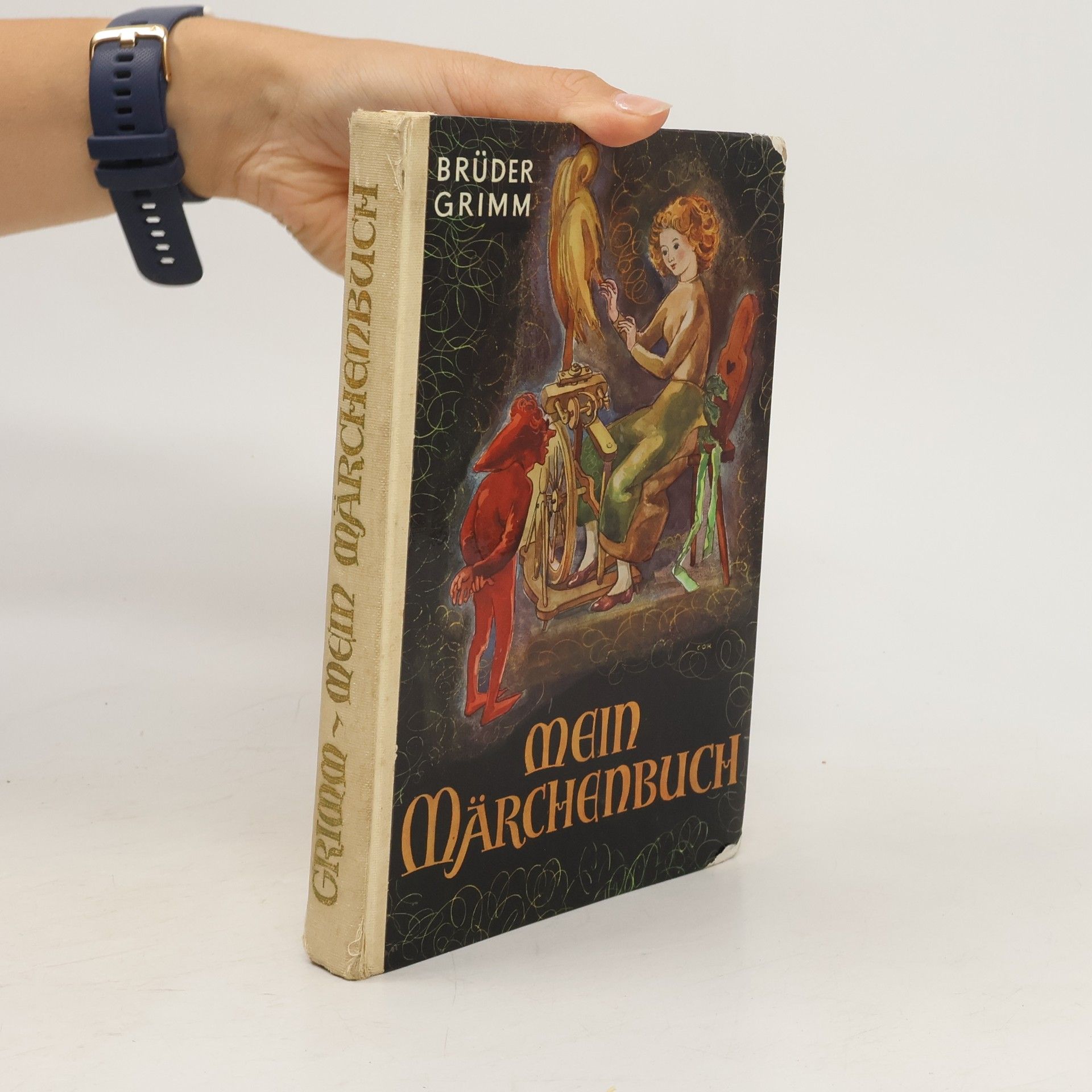 bratři Grimmové Mein Märchenbuch