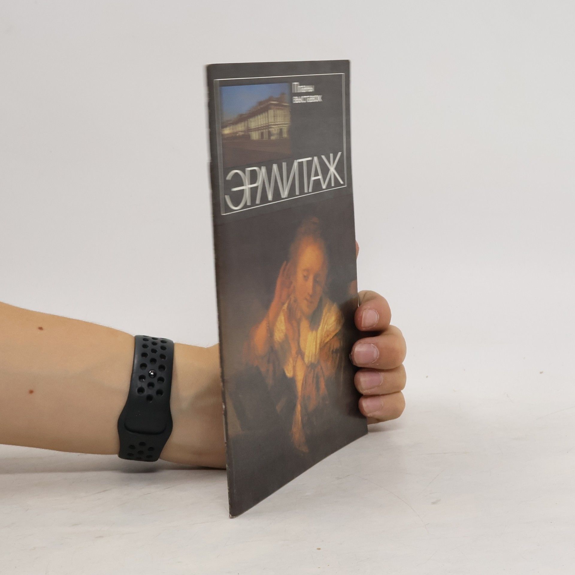 Kolektív autorov Эрмитаж. Проспект