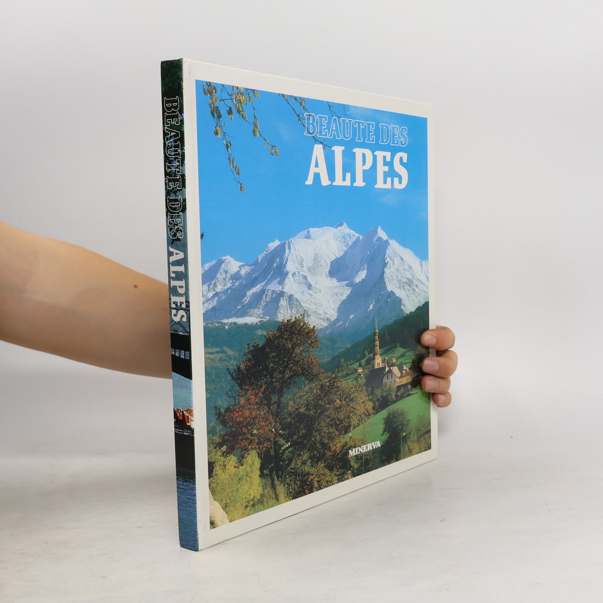Lucienne Rome Henchoz Beauté des Alpes