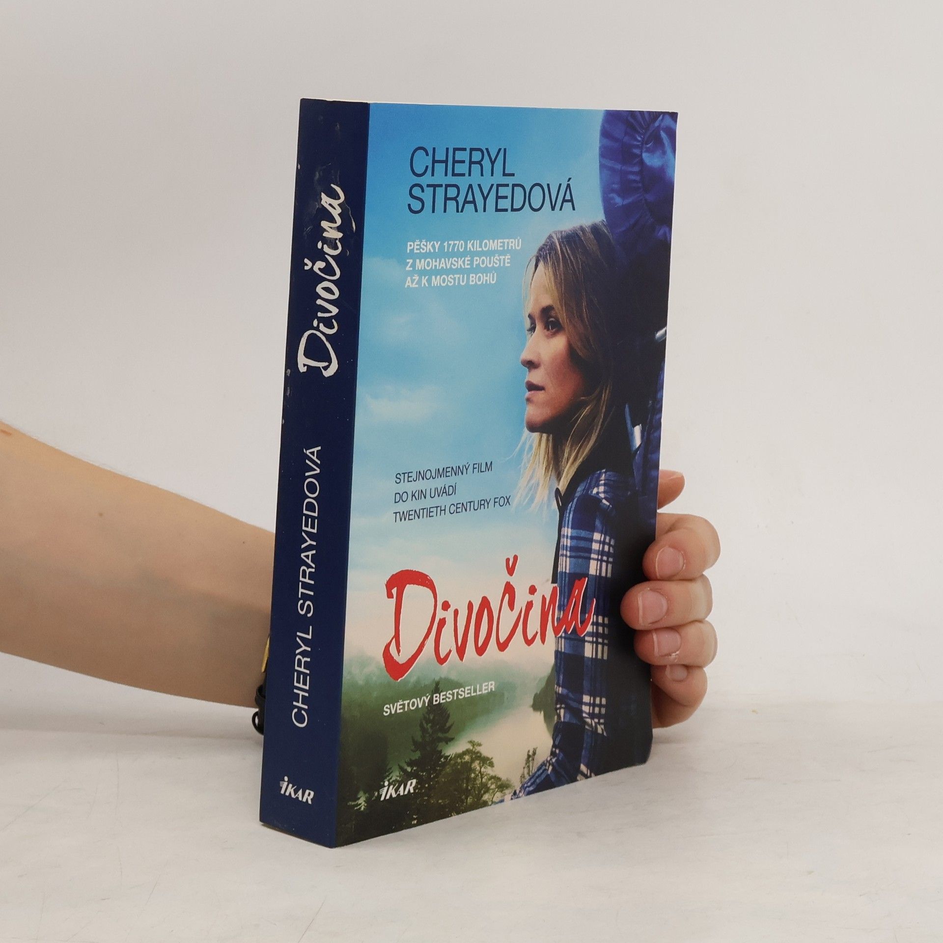 Cheryl Strayed Divočina. Pěšky 1770 kilometrů z Mohavské pouště až k mostu bohů