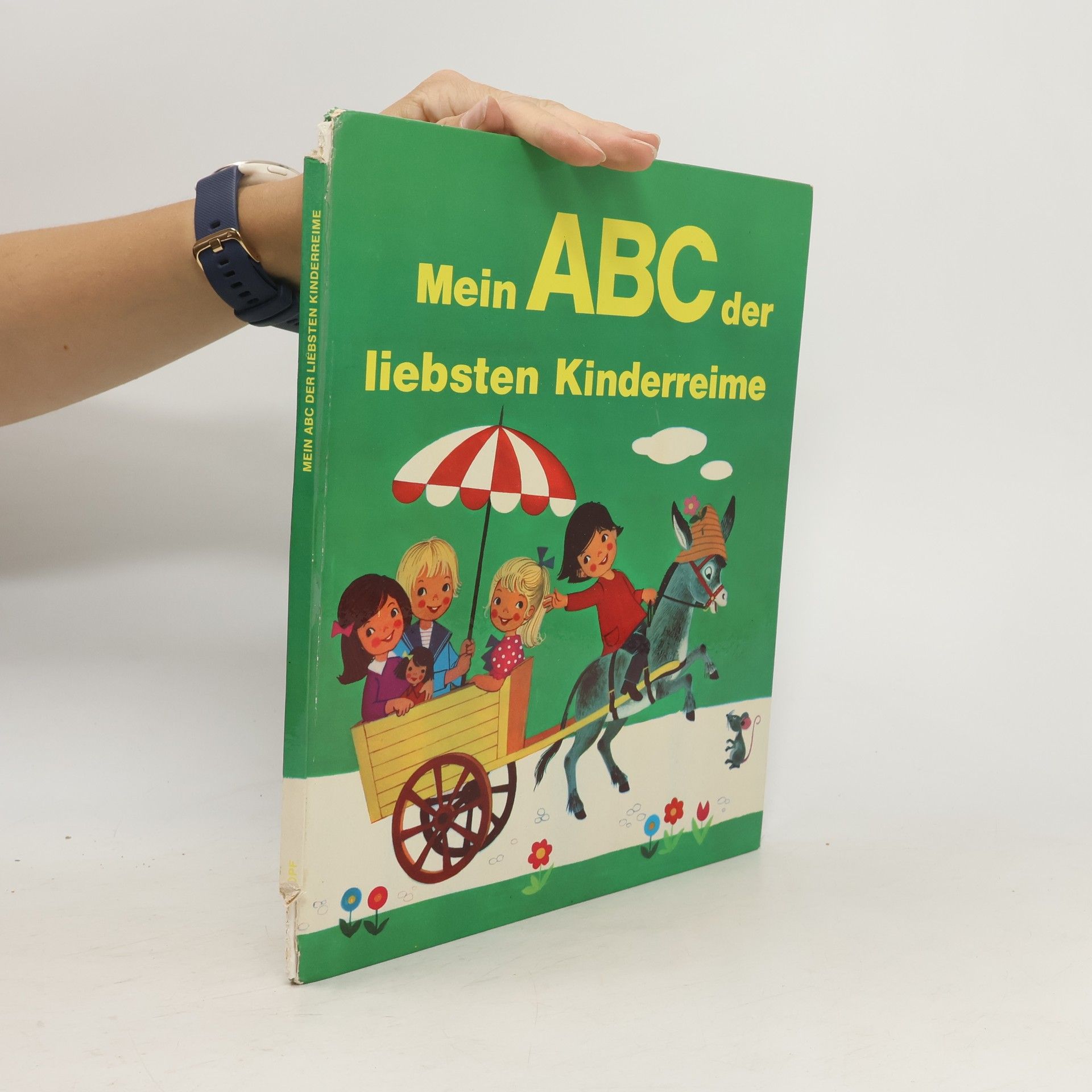 Autorenkollektiv Mein ABC der liebsten Kinderreime