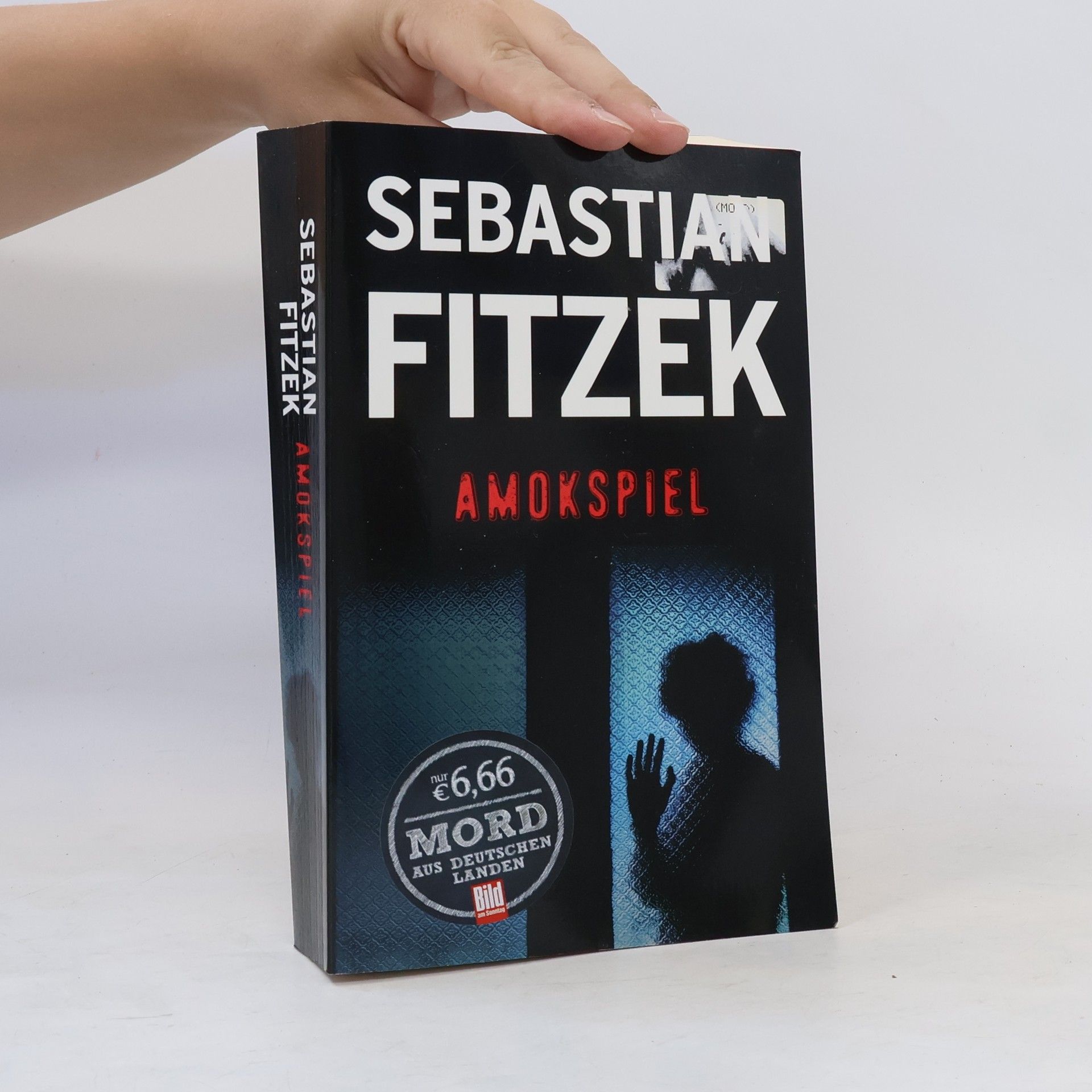 Sebastian Fitzek Amokspiel