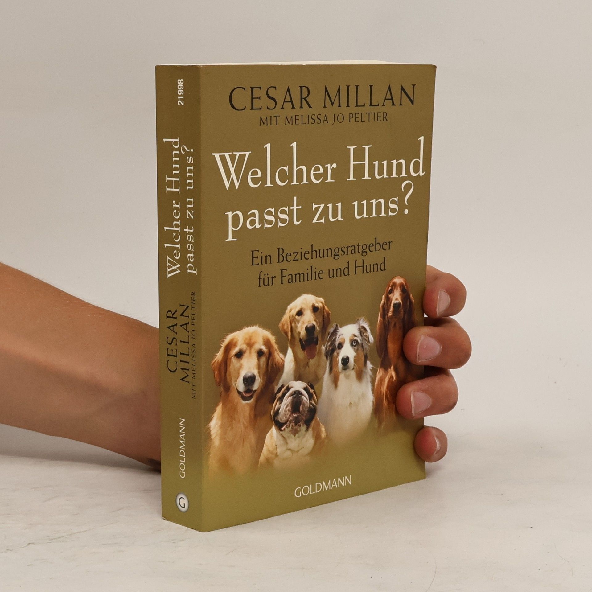 Welcher Hund passt zu uns?