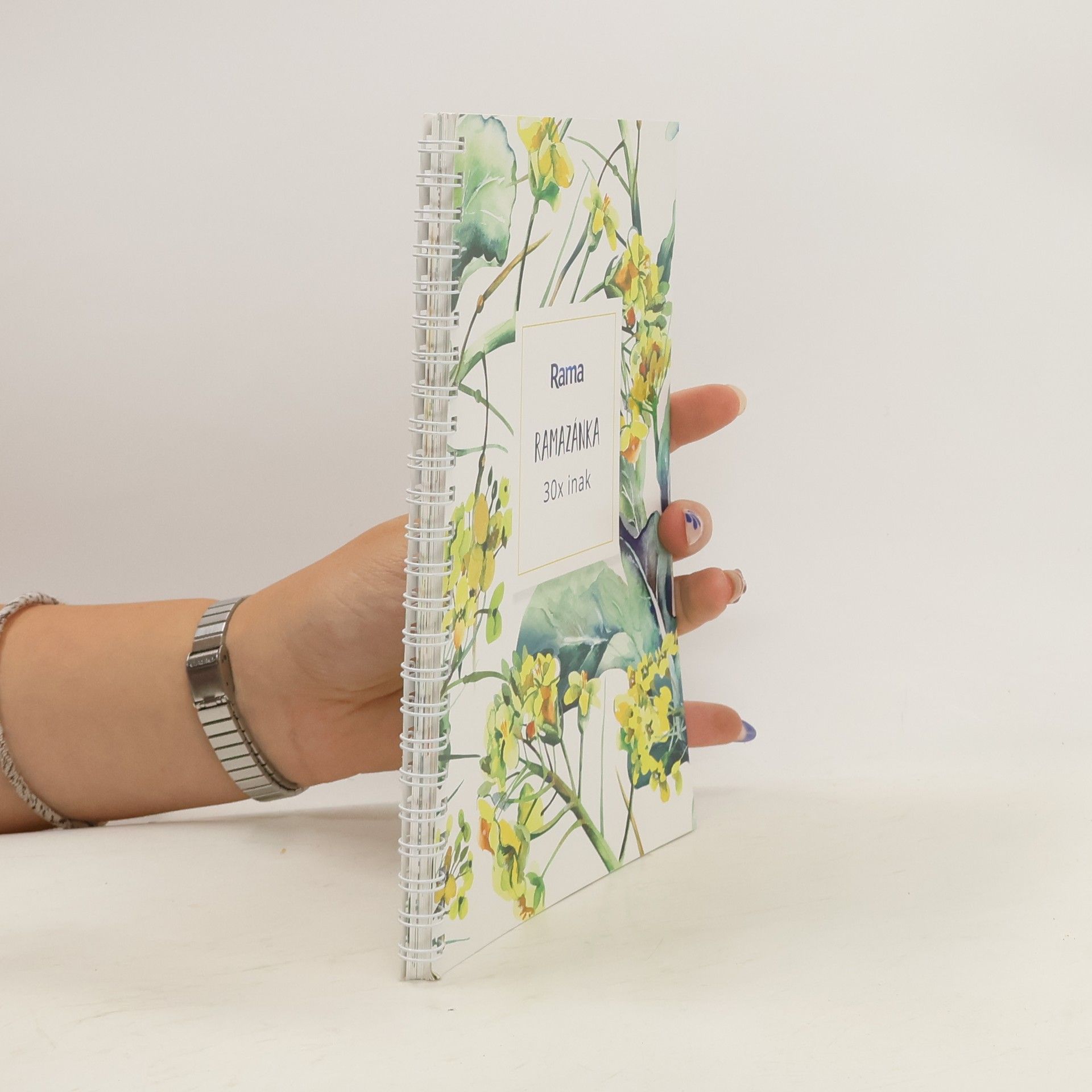 Kolektív autorov Ramazánka 30x inak