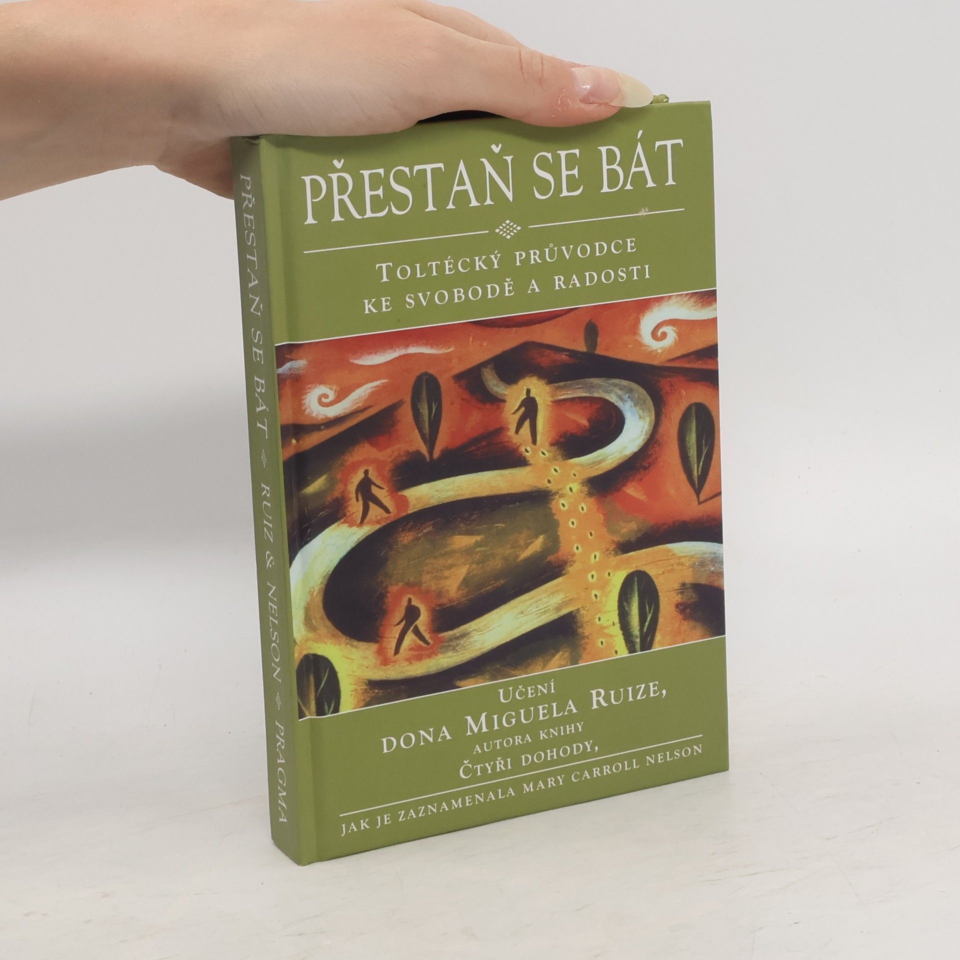 Mary Carroll Nelson Přestaň se bát