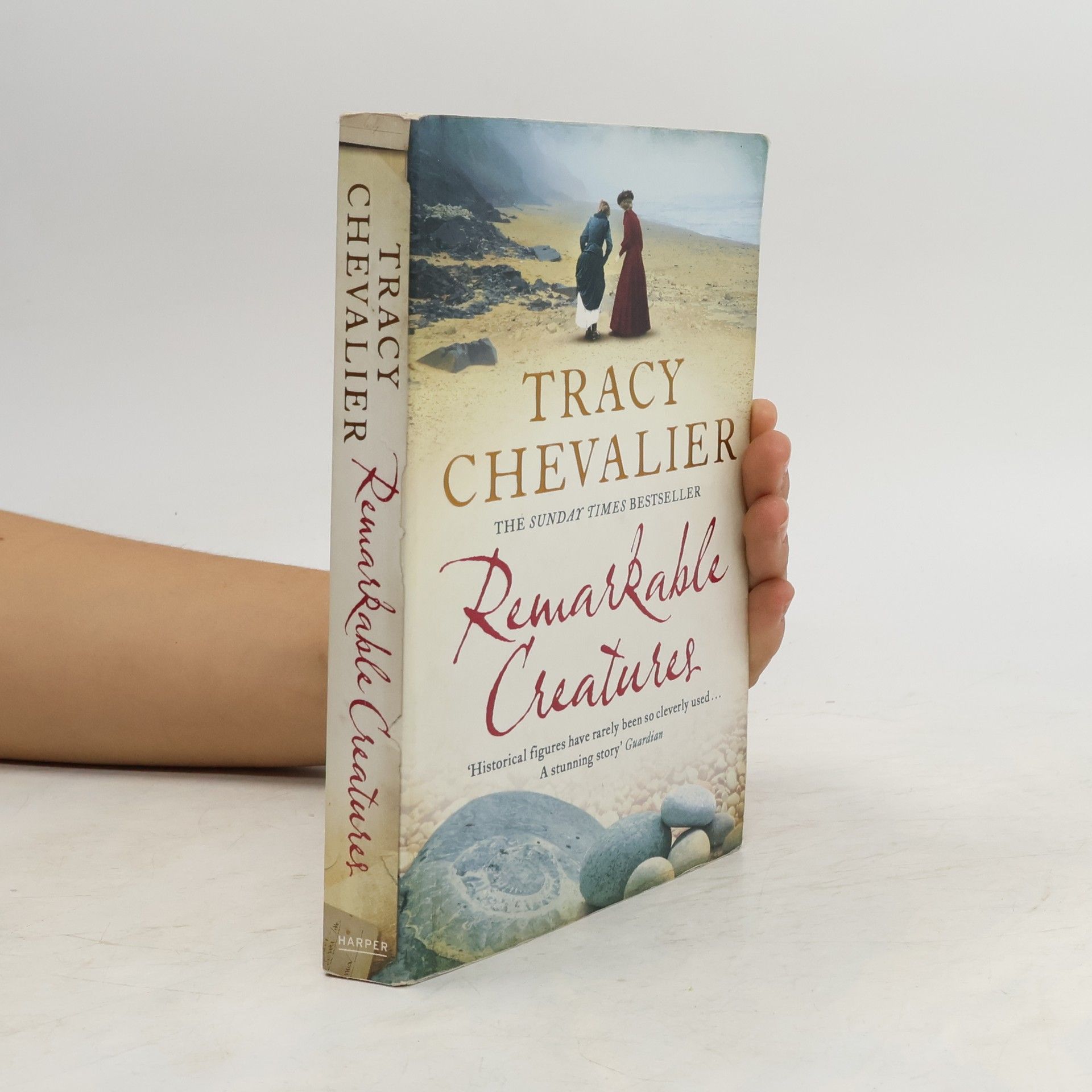 Tracy Chevalier Remarkable creatures