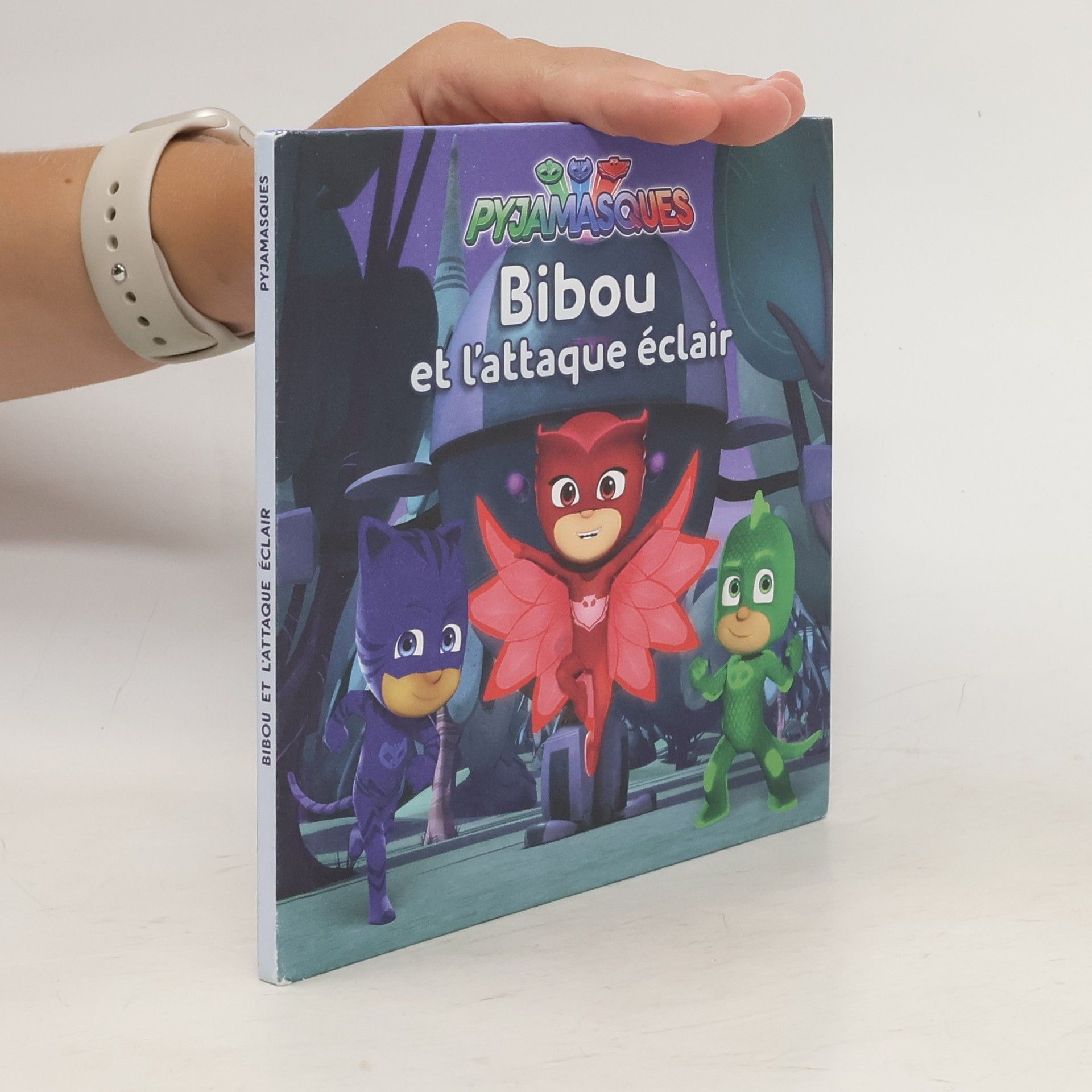 Collectif d'auteurs Bibou et l'attaque éclair