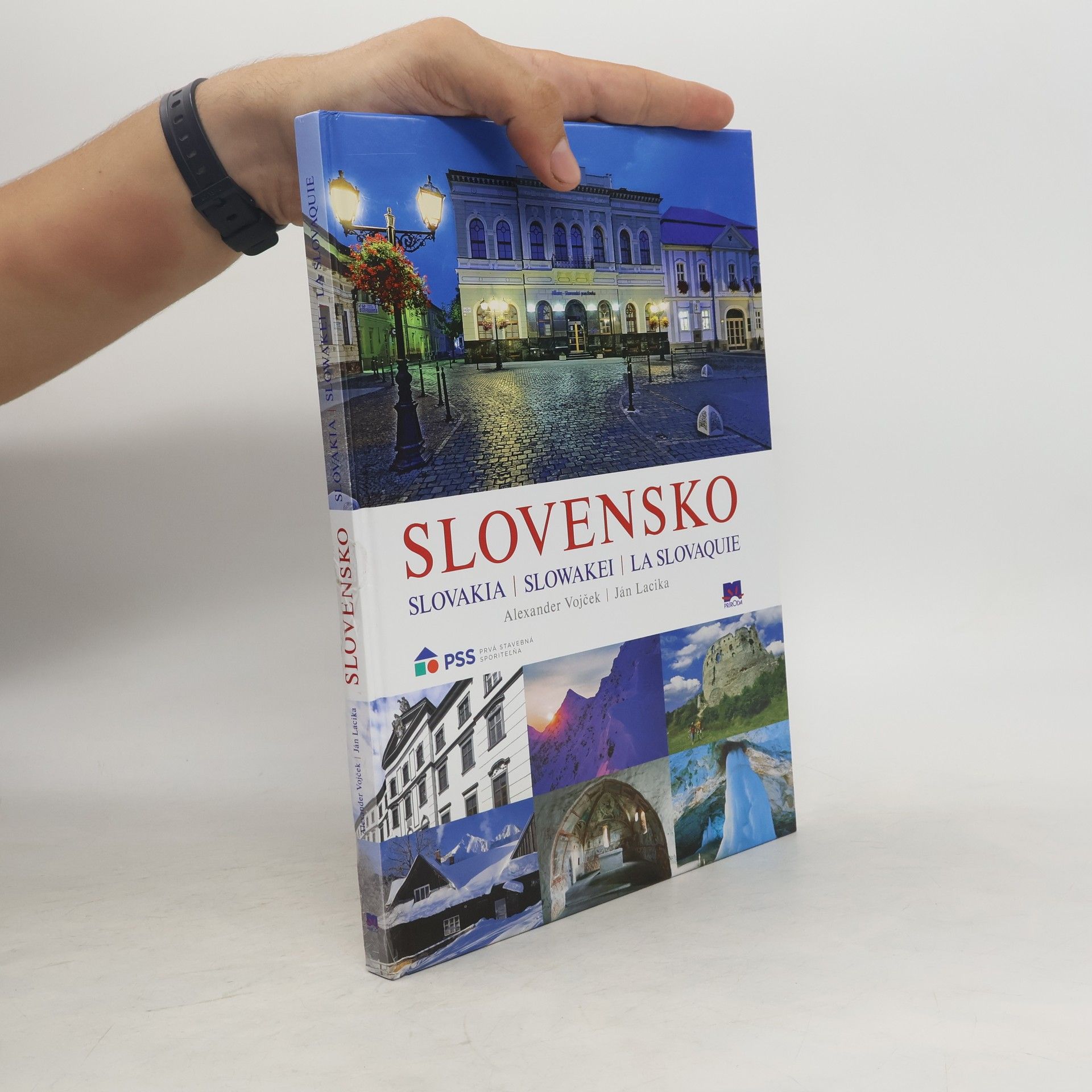 Alexander Vojček Slovensko