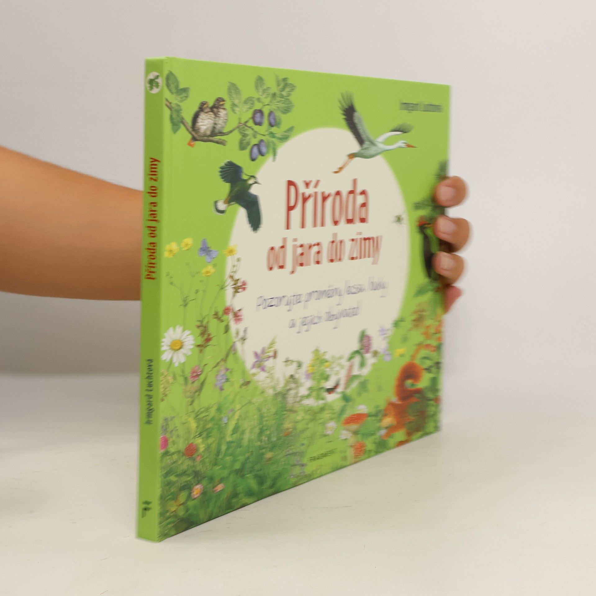 Irmgard Lucht Příroda od jara do zimy