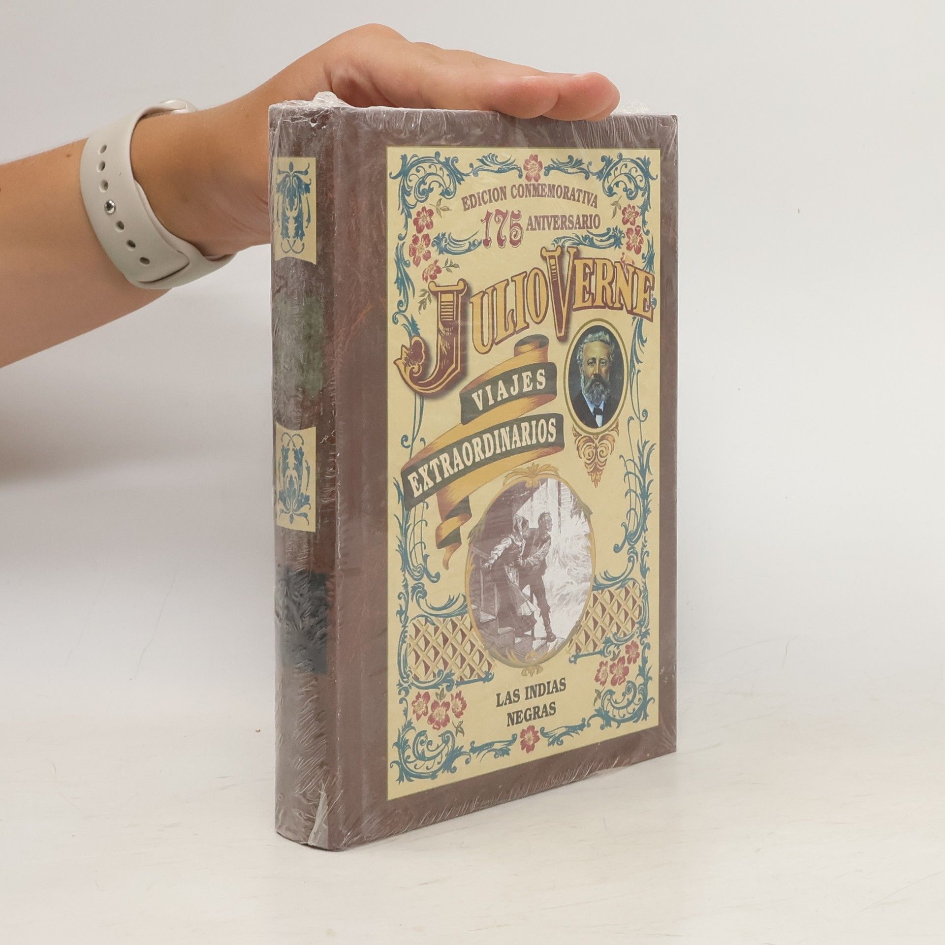 Jules Verne Las indias negras