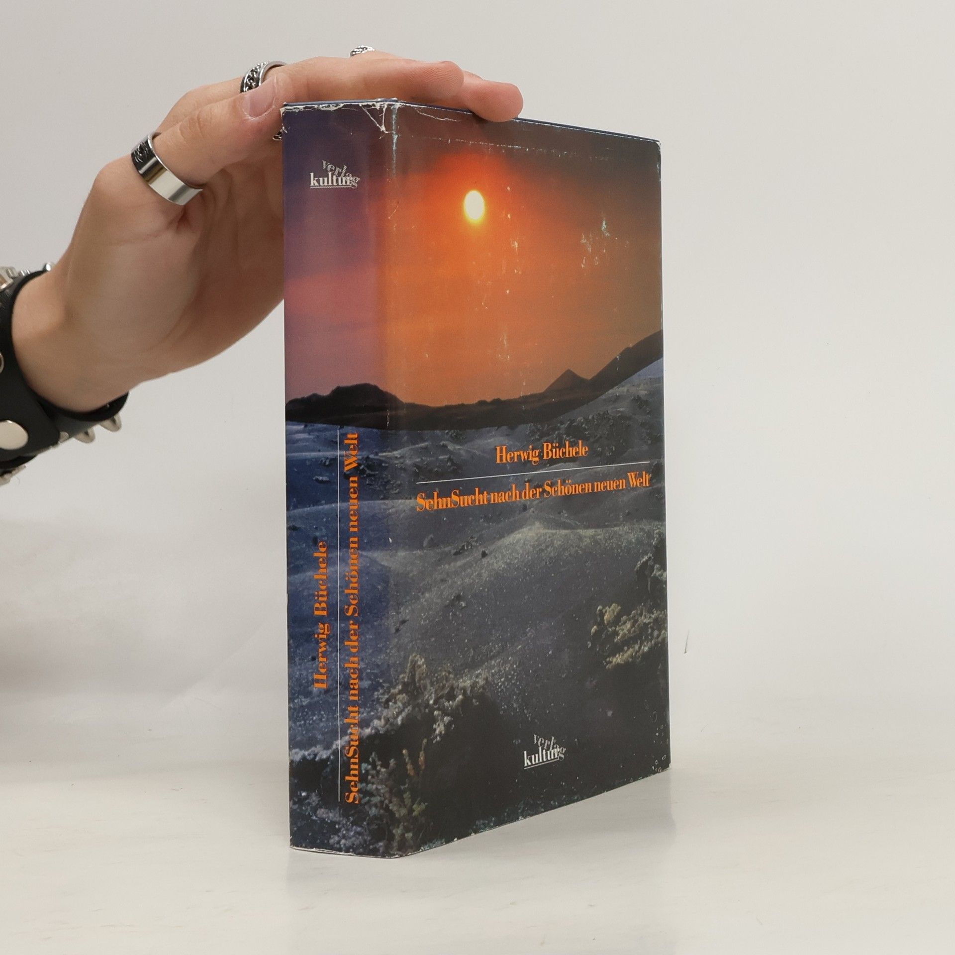Herwig Büchele SehnSucht nach der schönen neuen Welt