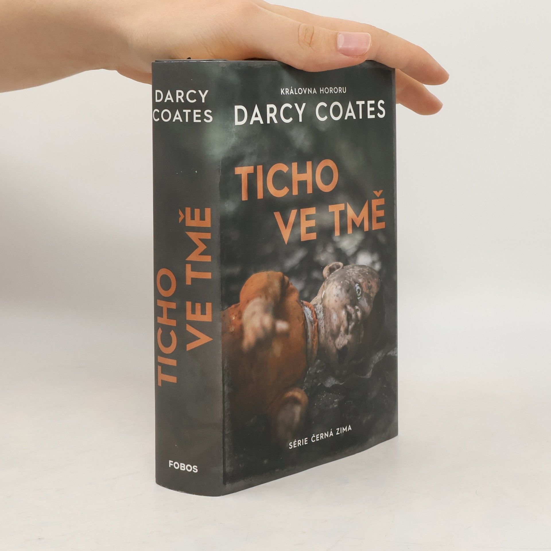 Darcy Coates Ticho ve tmě